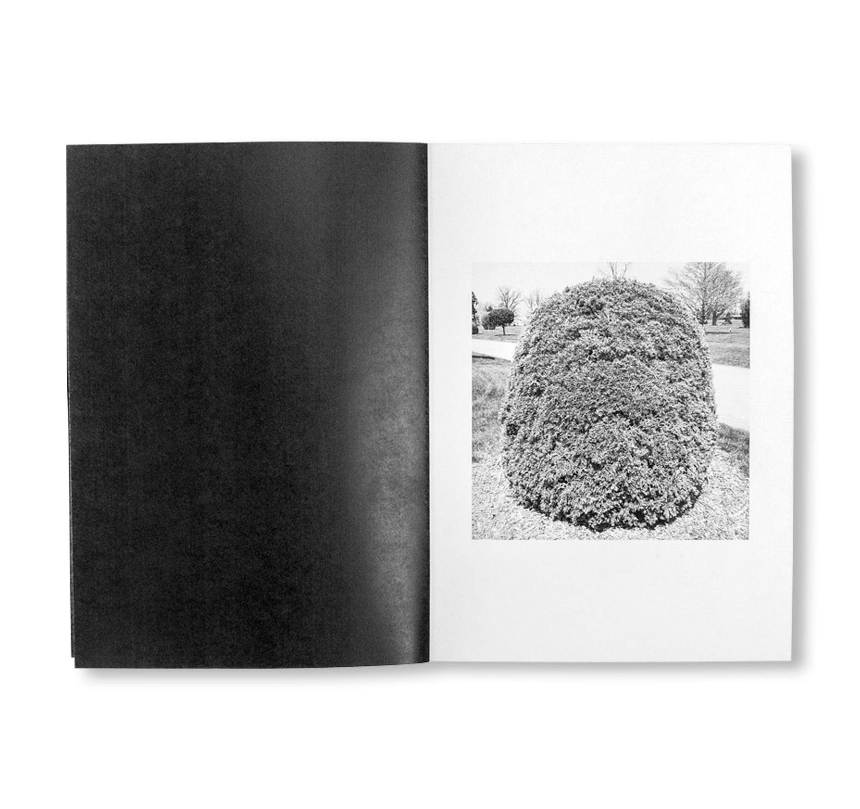 SHRUBS OF DEATH by Mike Slack [ENGLISH COVER / SIGNED]