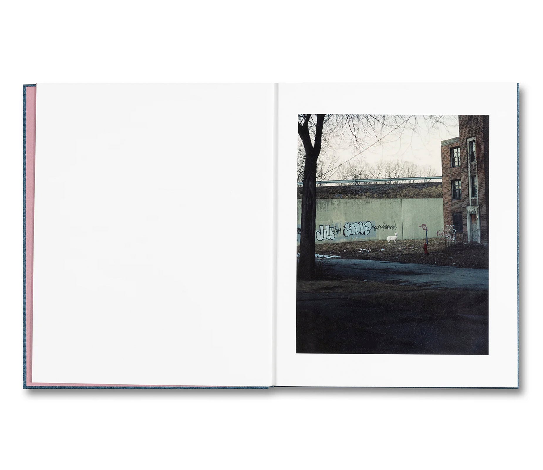 KING, QUEEN, KNAVE by Gregory Halpern [SIGNED]