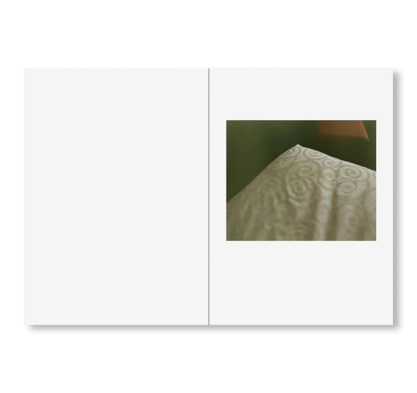 ONE PICTURE BOOK TWO #51: DESERT DAZE by Yoko Ikeda