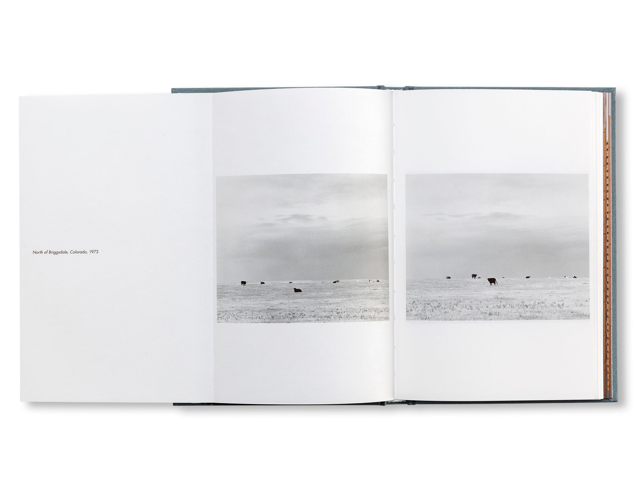 MUT 10 | COMPOSITIONS OF EARTH by Robert Adams