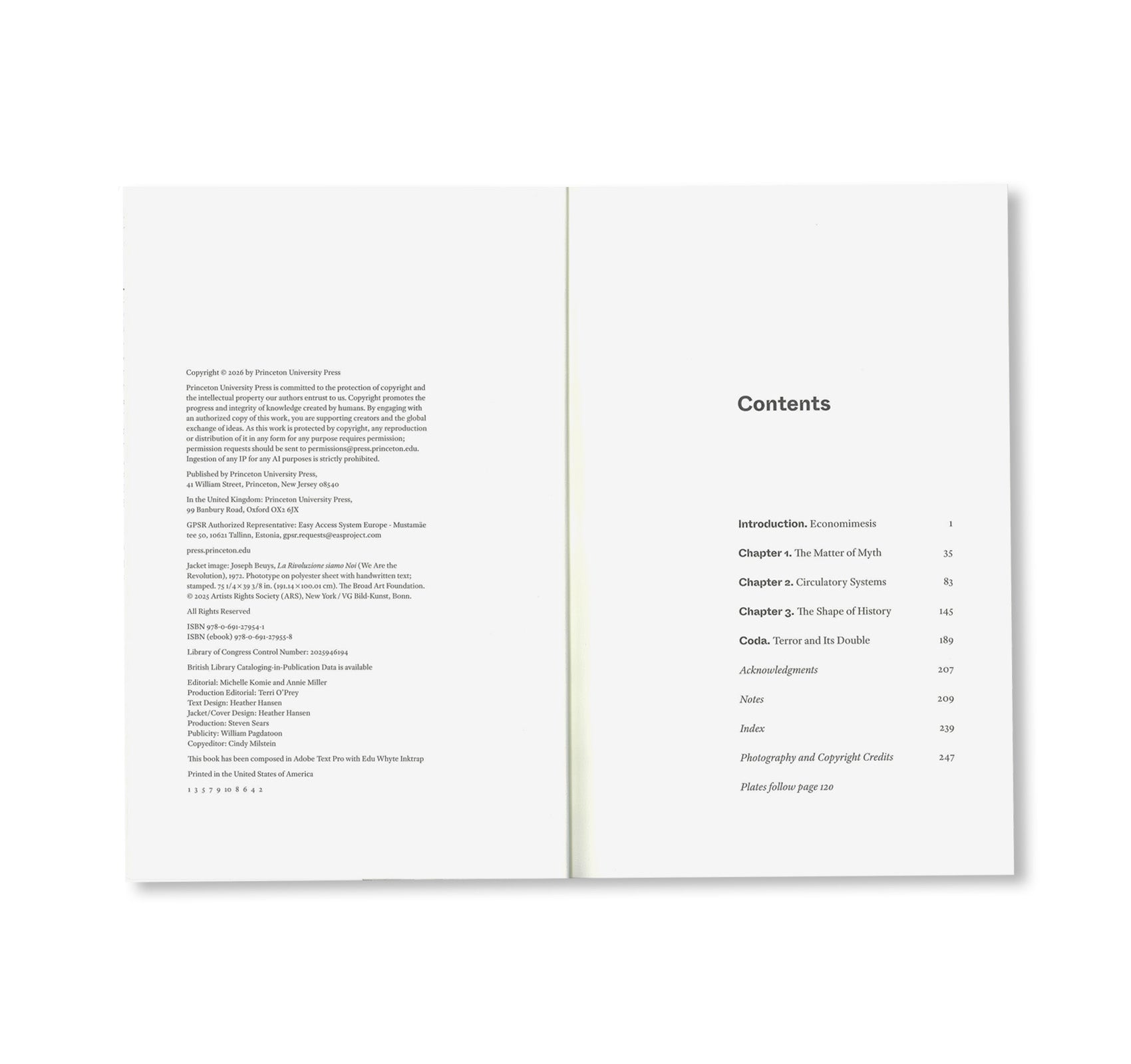 JOSEPH BEUYS AND HISTORY by Joseph Beuys
