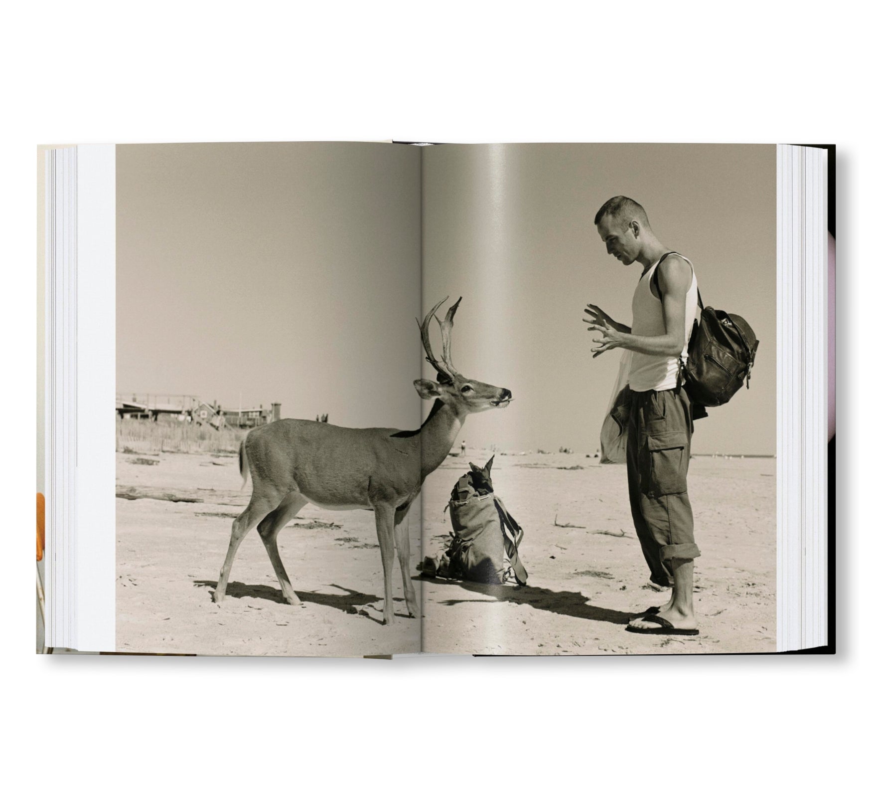 WOLFGANG TILLMANS FOUR BOOKS by Wolfgang Tillmans [ENGLISH / 45TH EDITION]