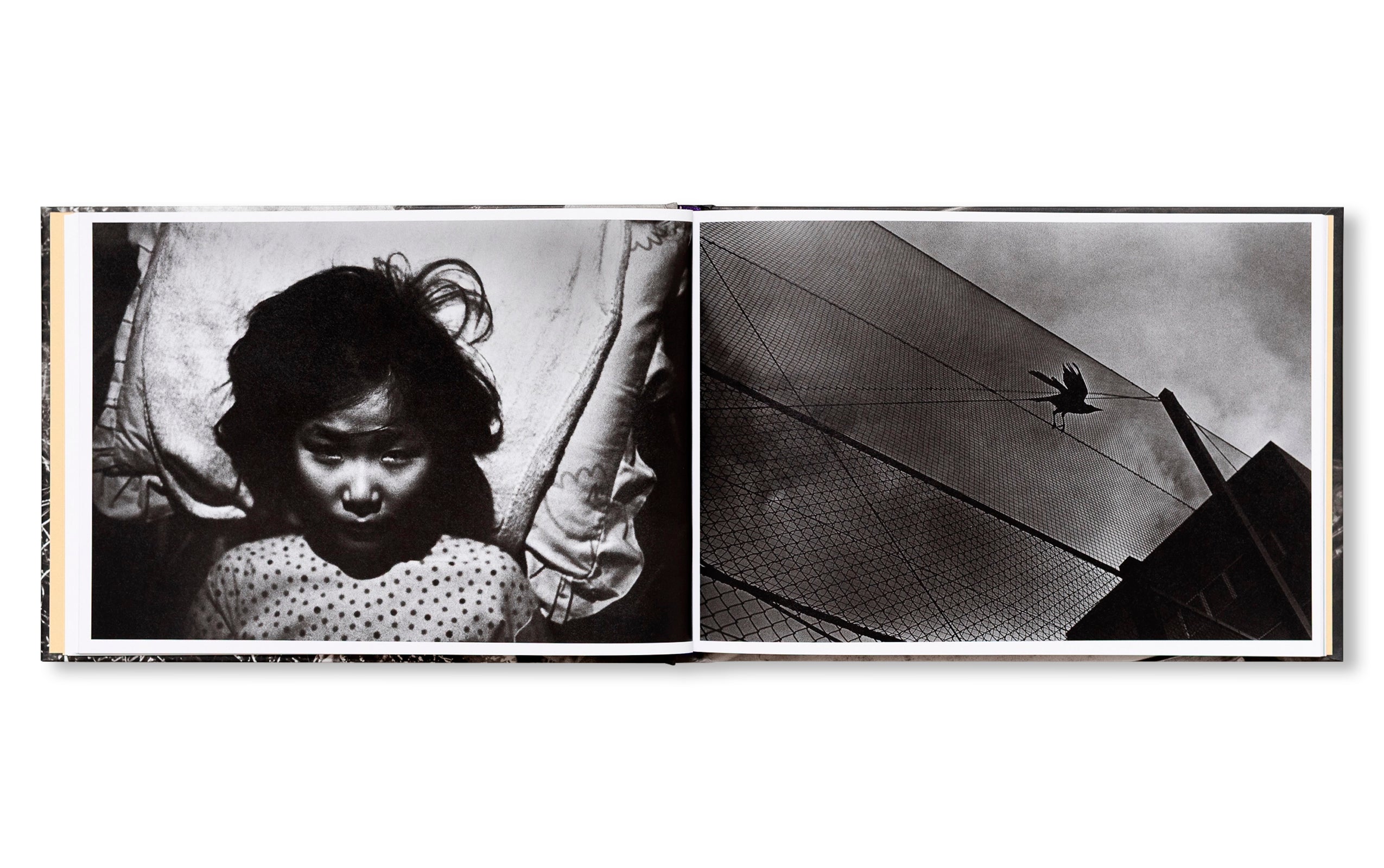 IN THE FLAP OF A BIRD'S WING, WATER DRIES UP by Eriko Masaoka