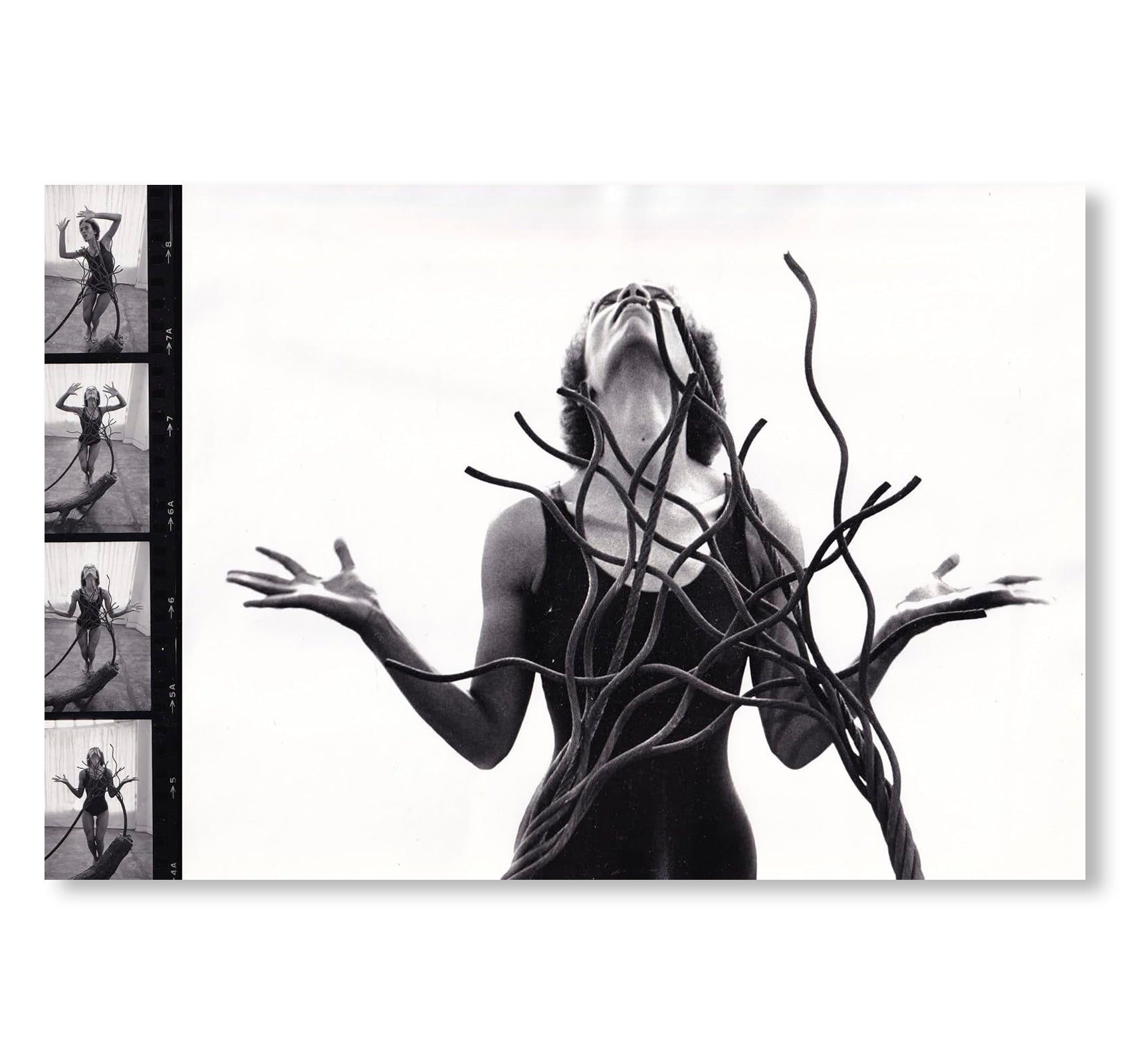 MAREN HASSINGER: LIVING MOVING GROWING by Maren Hassinger