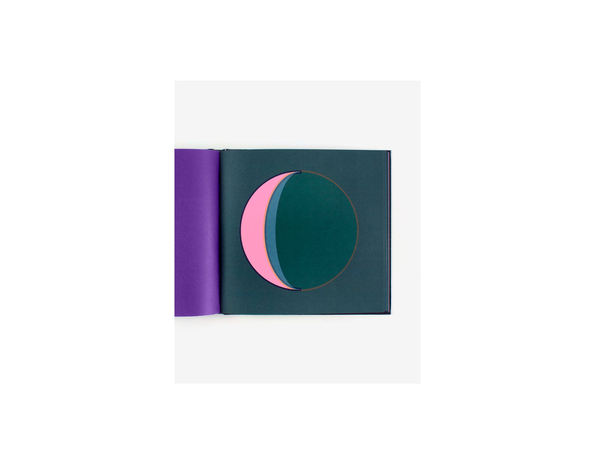 DANS LA LUNE by Fanette Mellier [THIRD EDITION]