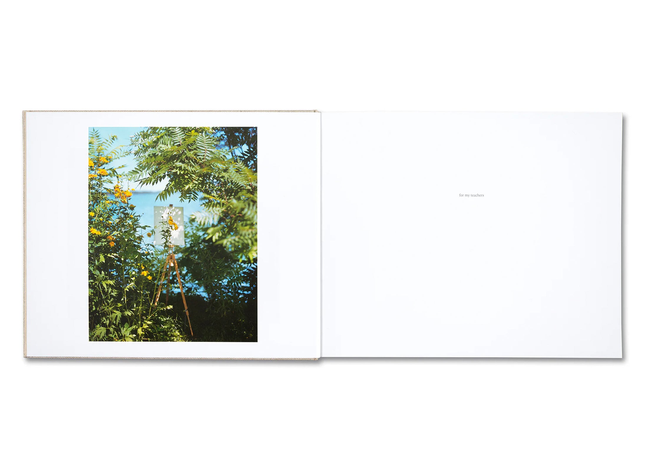 A POUND OF PICTURES by Alec Soth