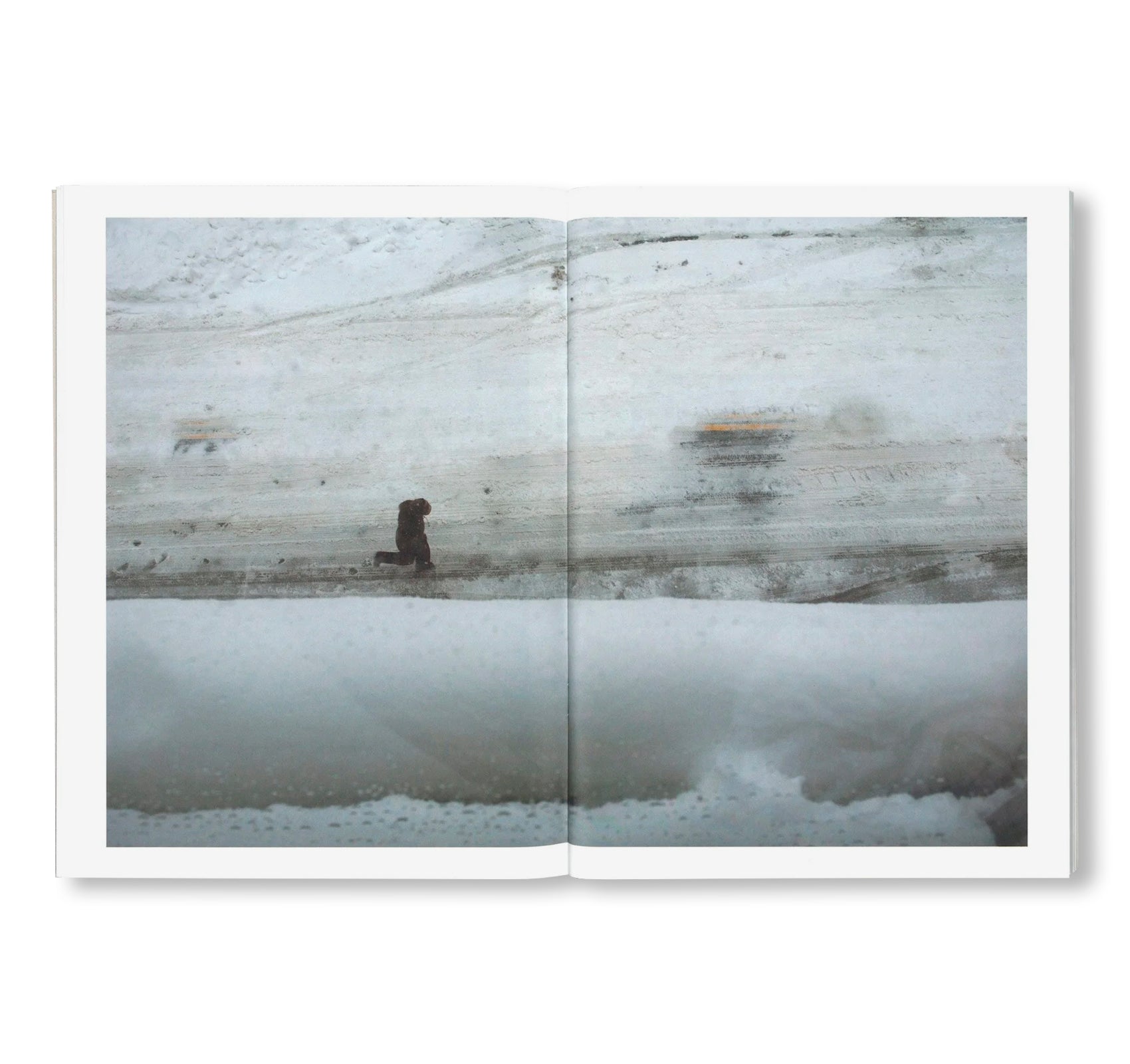 WINTER by Todd Fisher