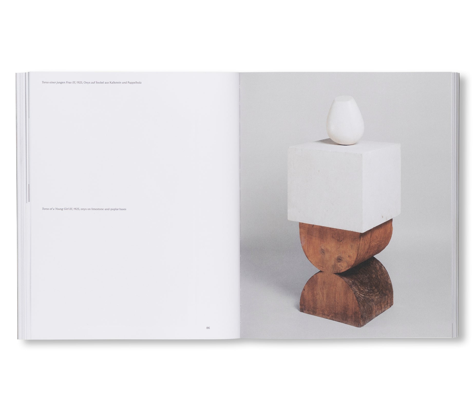 BRANCUSI by Constantin Brancusi