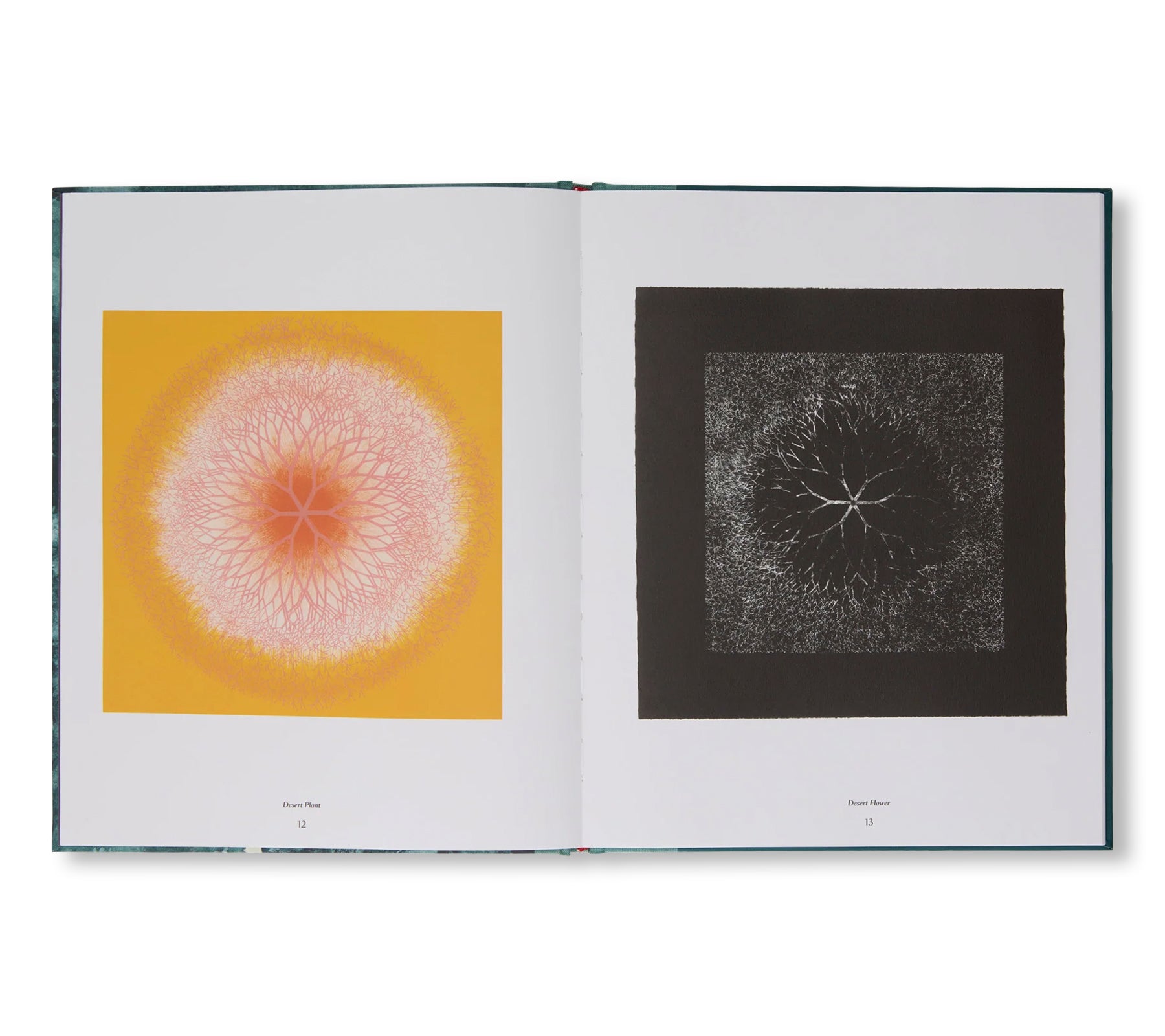THE TAMARIND PRINTS by Ruth Asawa
