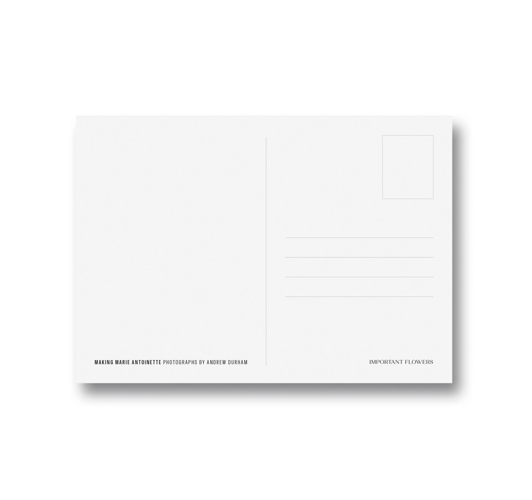 MAKING MARIE ANTOINETTE POSTCARDS by Andrew Durham