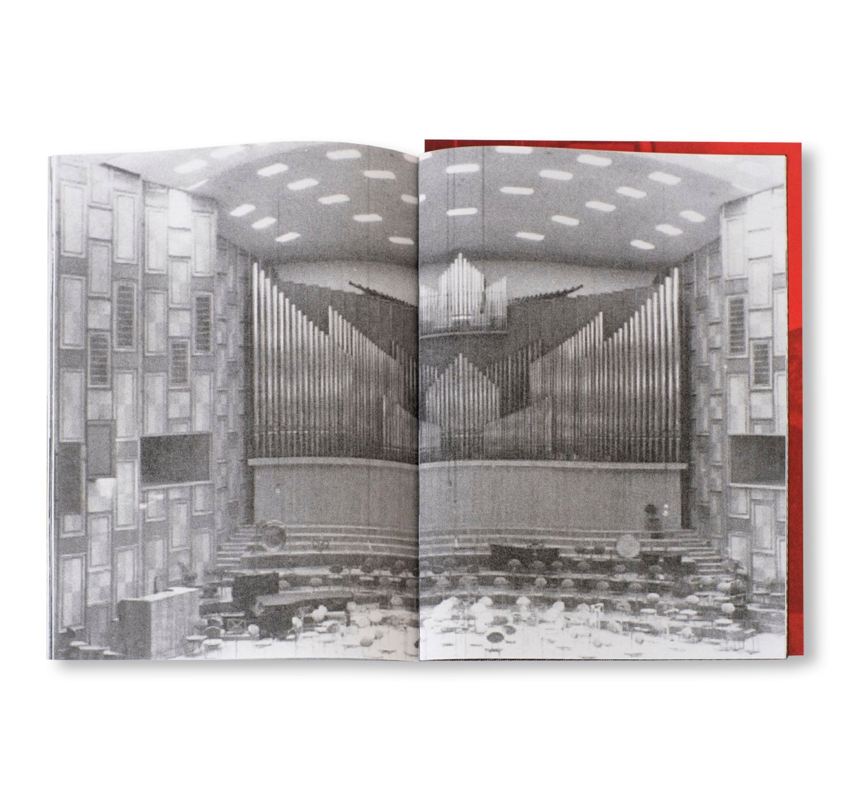 DUMITRU by Michel Mazzoni [SIGNED]