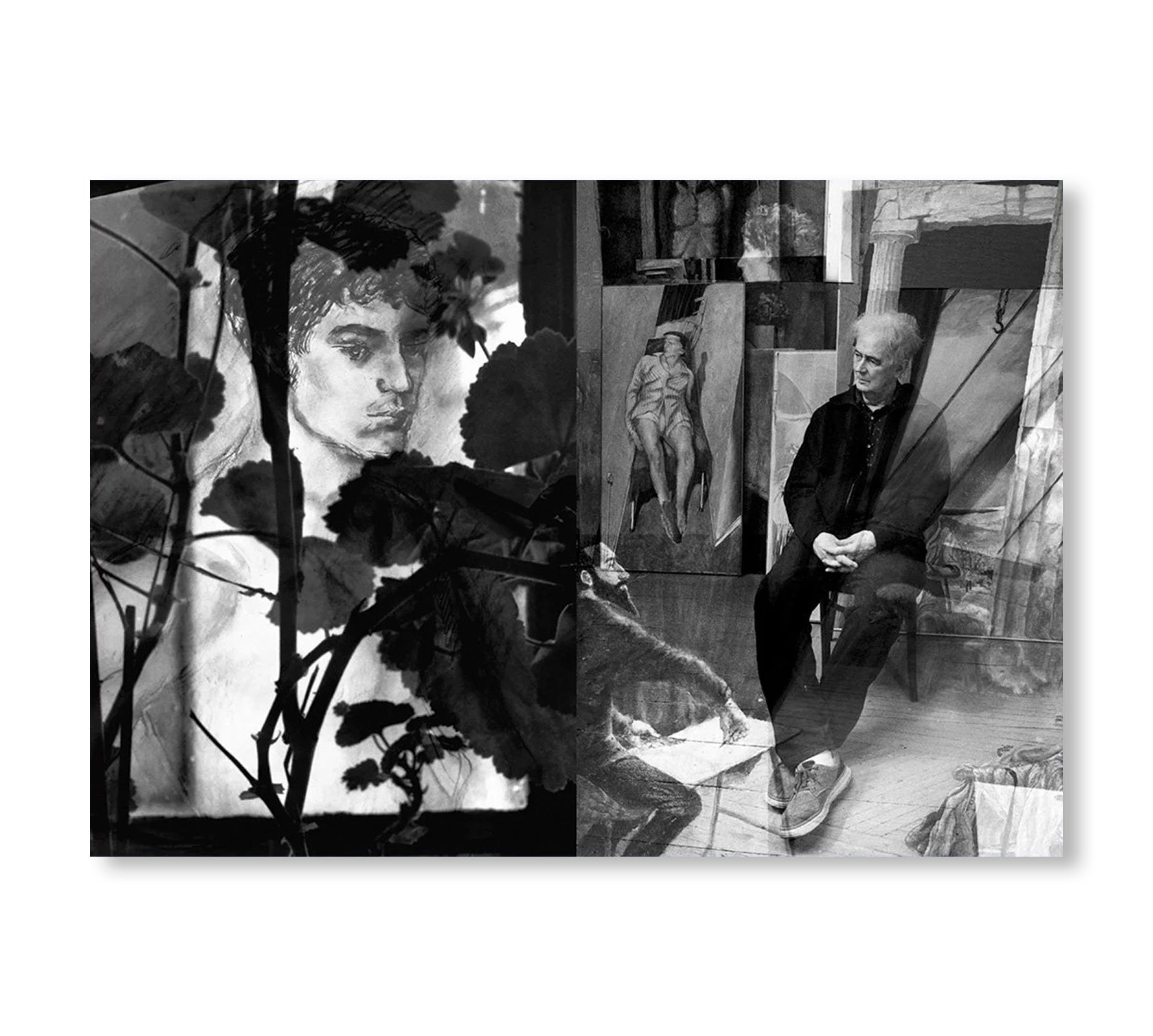 ONE PICTURE BOOK TWO #46: TOER by Susan A. Zadeh