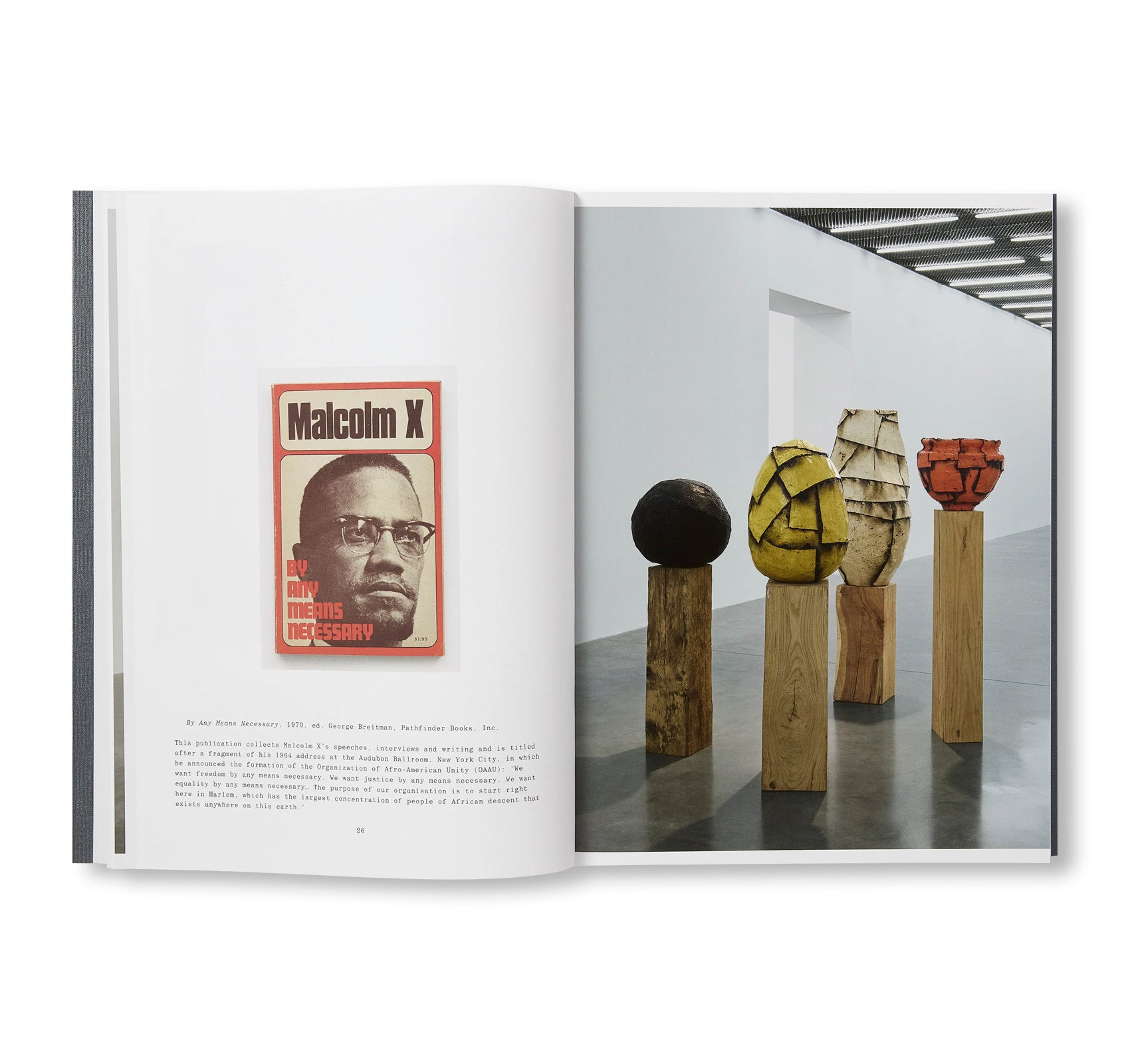 1965: MALCOLM IN WINTER: A TRANSLATION EXERCISE by Theaster Gates