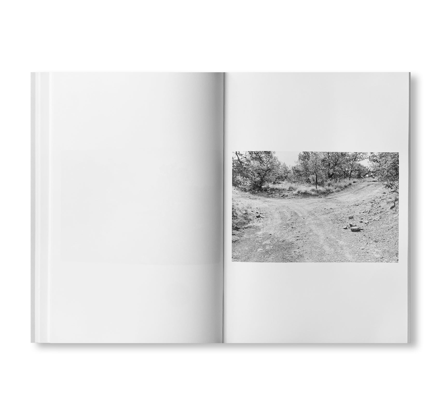 ROAD by Christopher Wool [SIGNED]