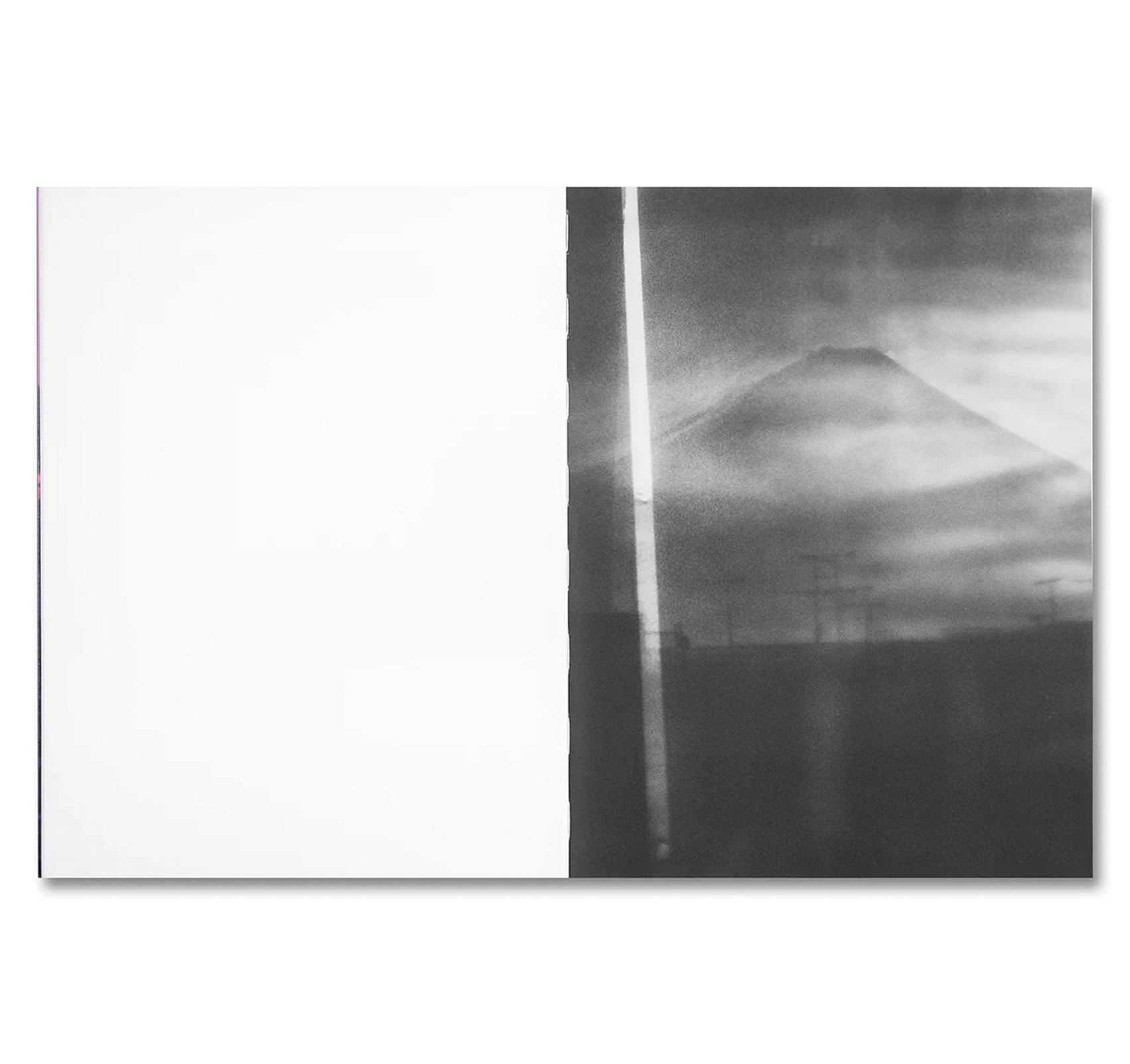 THIRTY-SIX VIEWS OF MOUNT FUJI by Takashi Homma