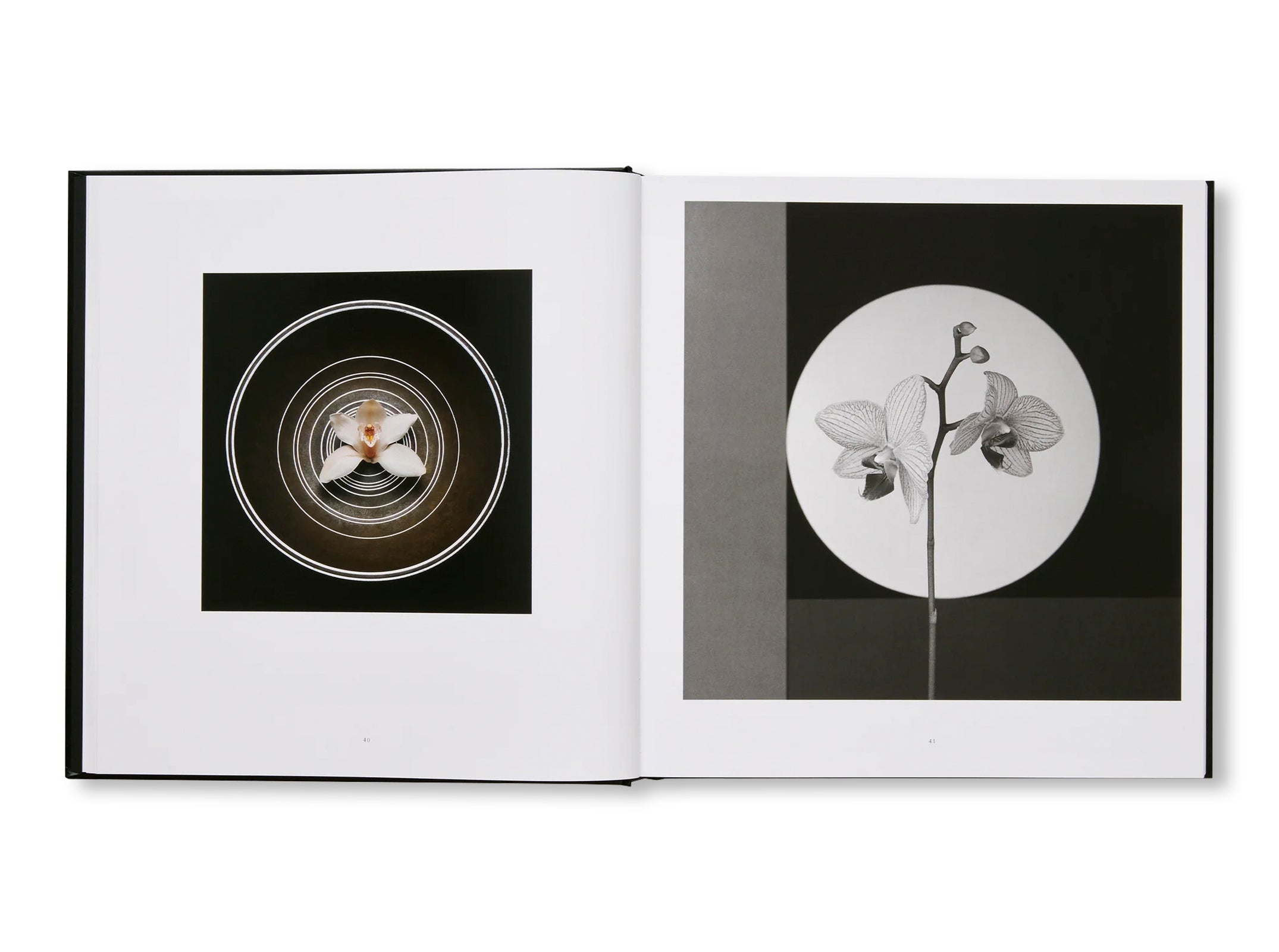 MAPPLETHORPE FLORA: THE COMPLETE FLOWERS by Robert Mapplethorpe [NEW EDITION]