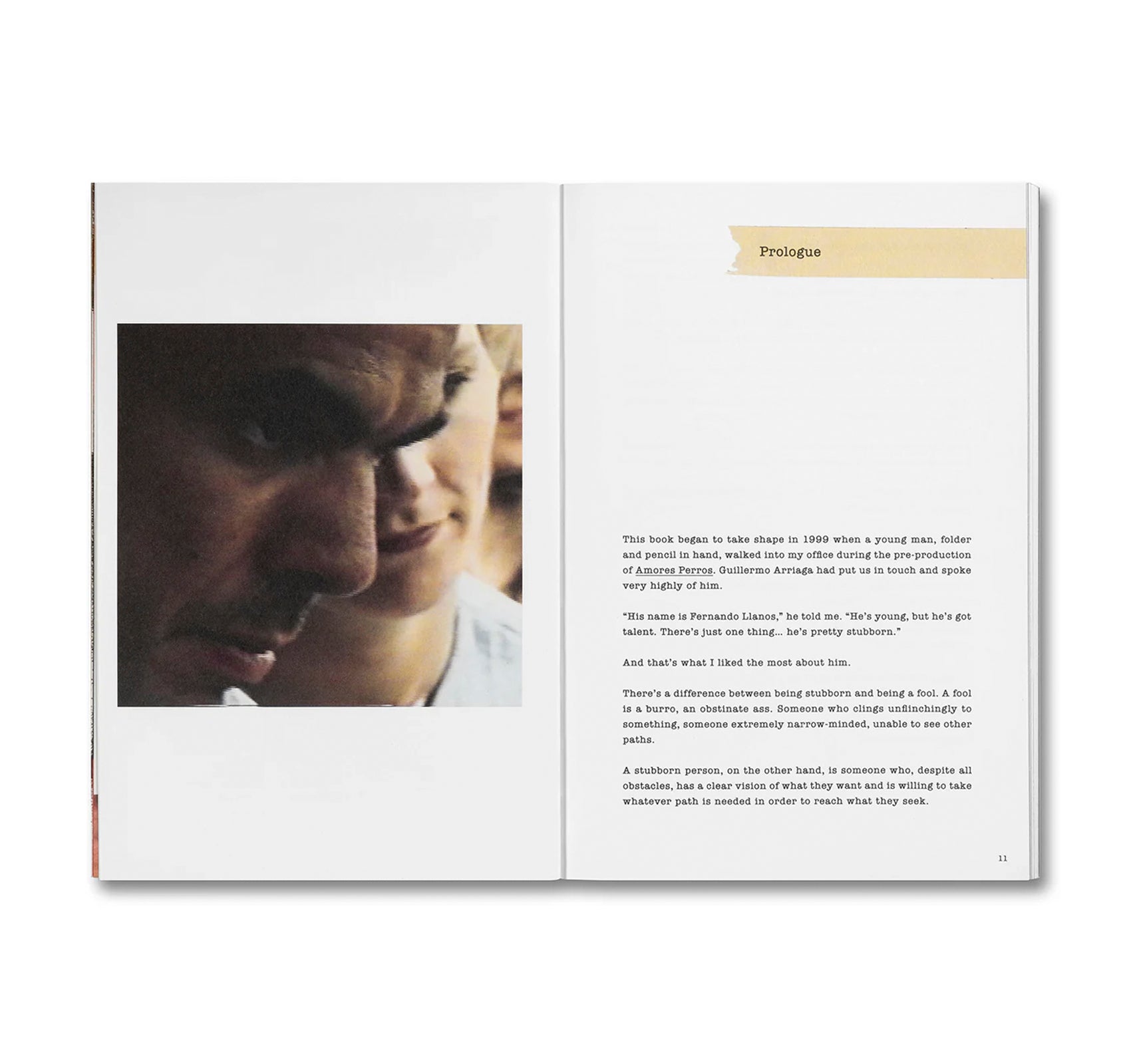 UNLEASHING AMORES PERROS by Fernando Llanos [ENGLISH EDITION]