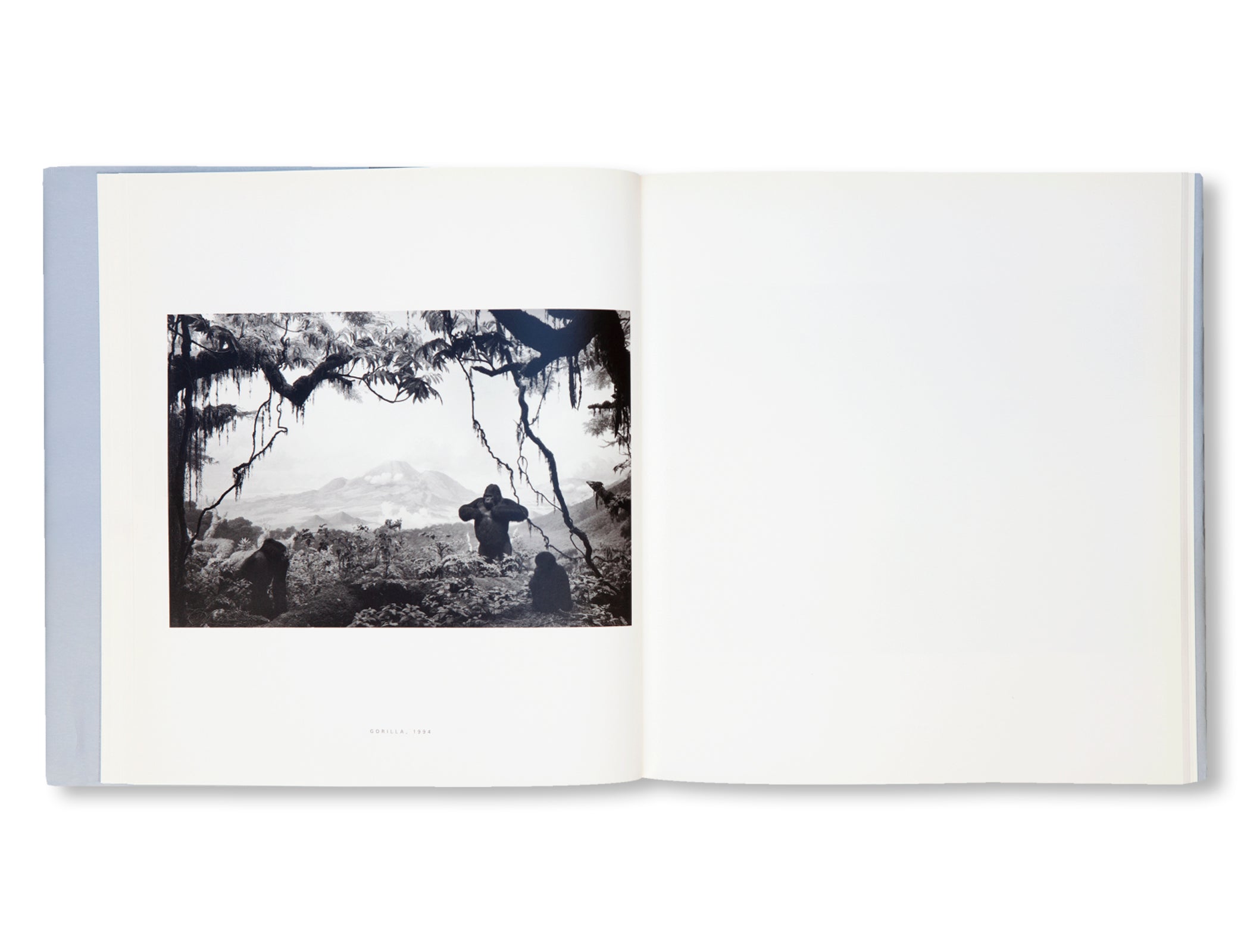DIORAMAS by Hiroshi Sugimoto