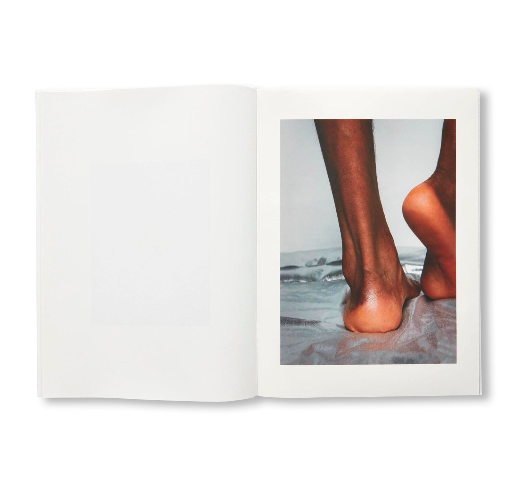 GABORITRONALDHAMILTON by Anthea Hamilton, Delphine Gaborit, Lewis Ronald