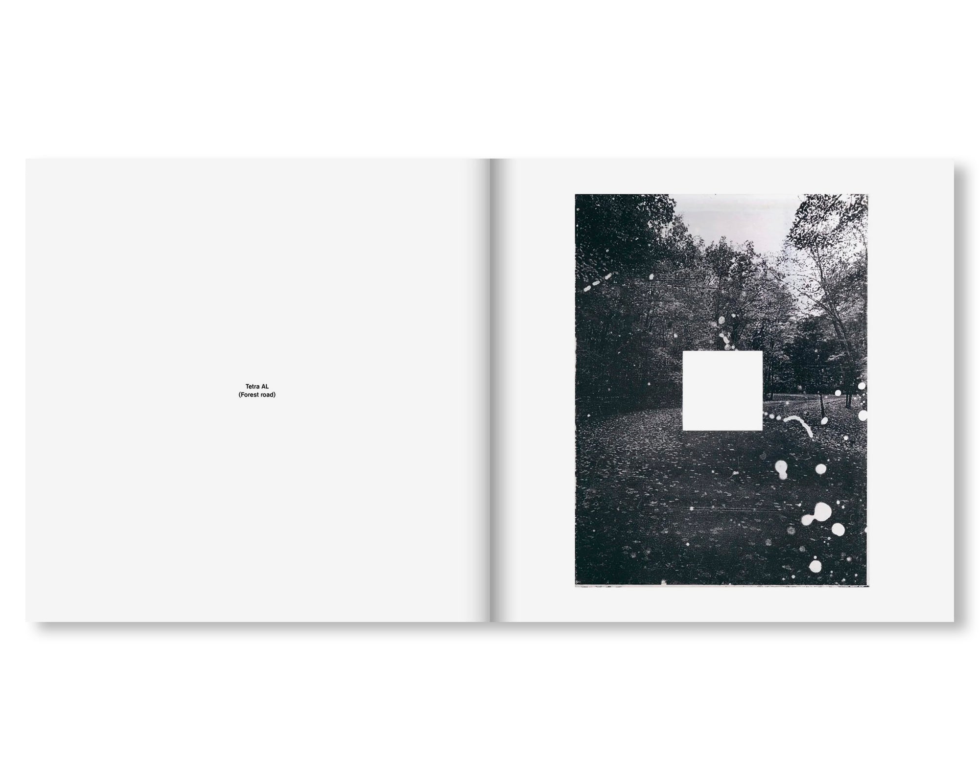 TETRA AL by Jan S. Hansen