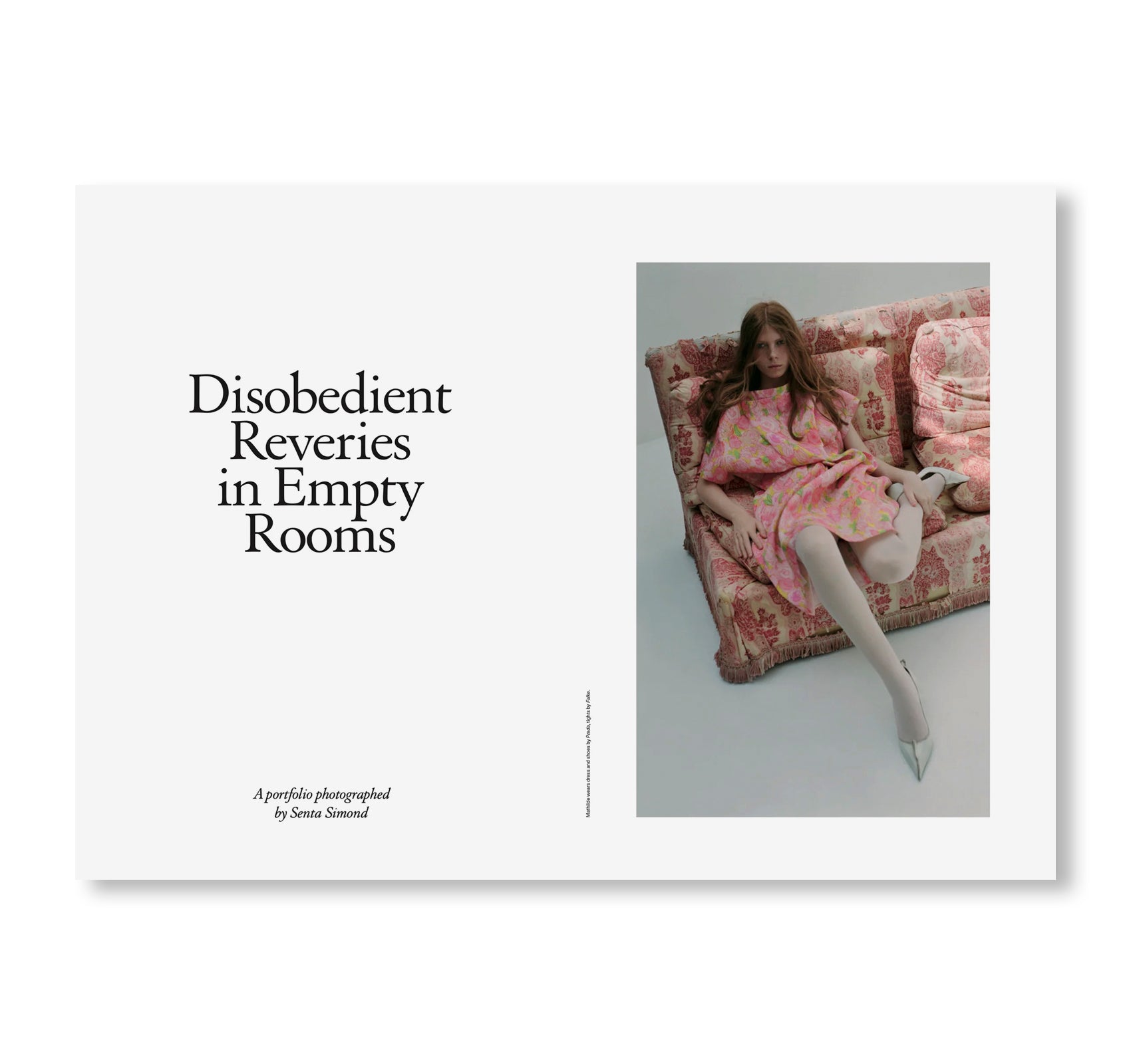 STUDY MAGAZINE VOLUME 12