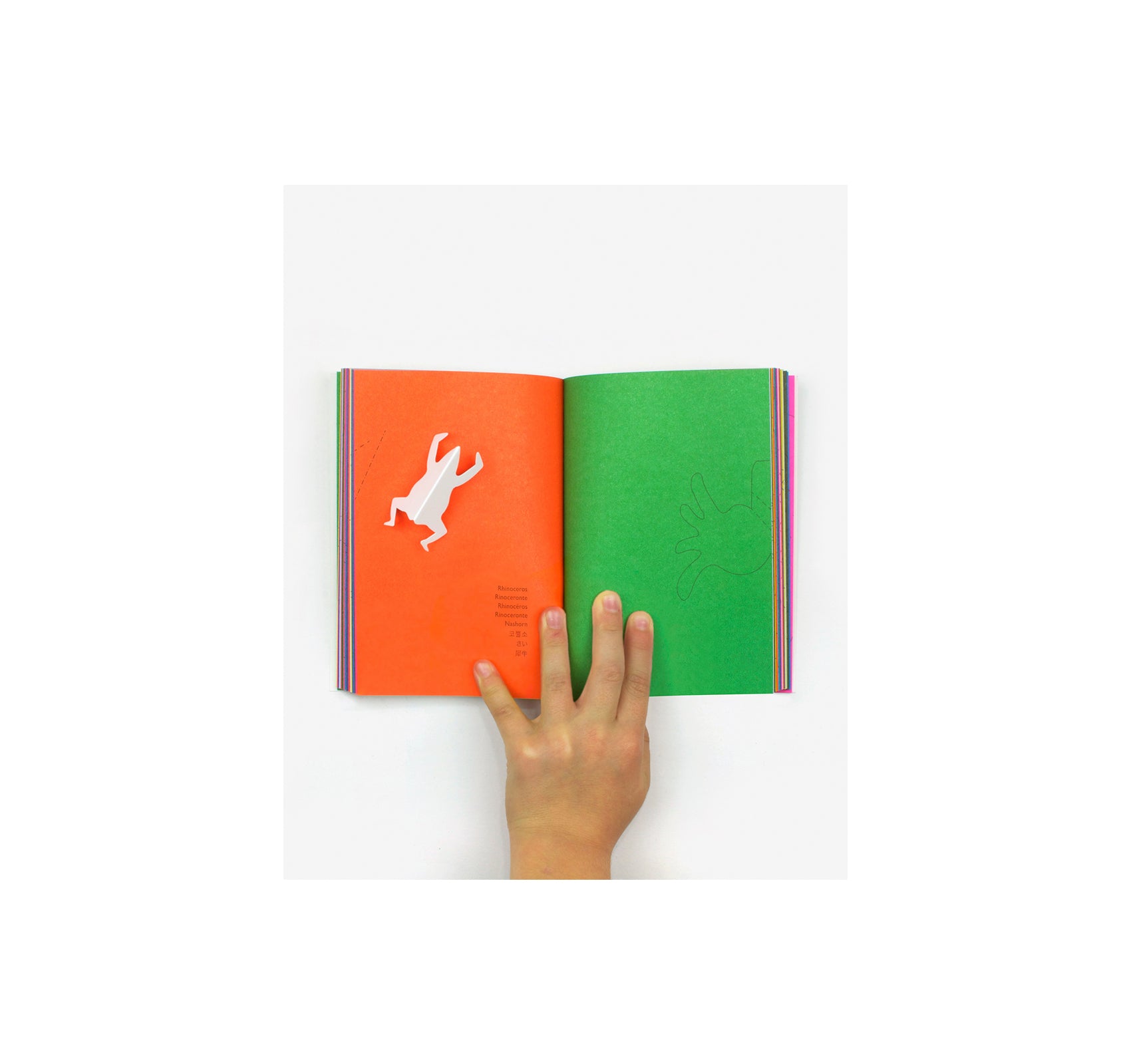 ZOO IN MY HAND by Inkyeong & Sunkyung Kim