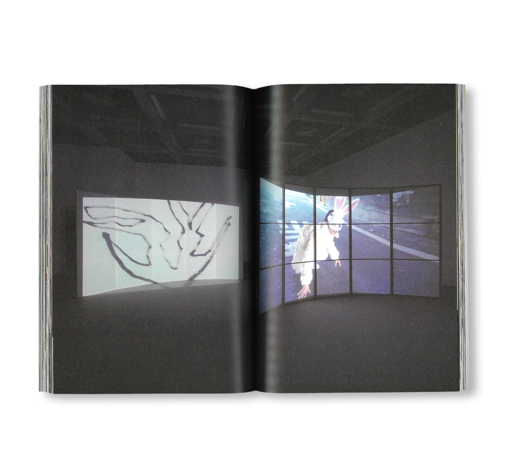 DOUBLE LUNAR RABBITS / 2匹の月のうさぎ by Joan Jonas