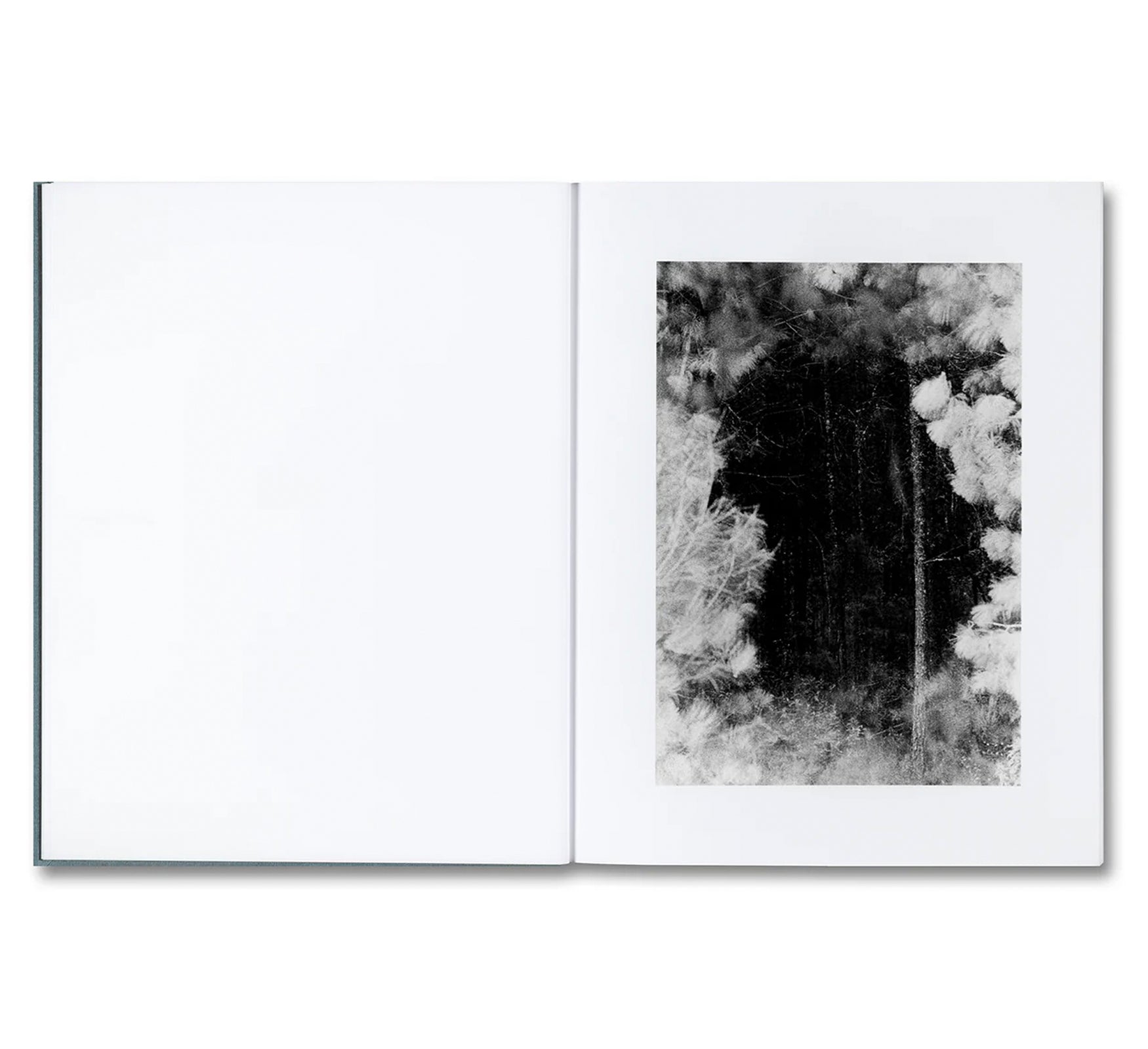 DISTRIBUTION by Daniel Shea