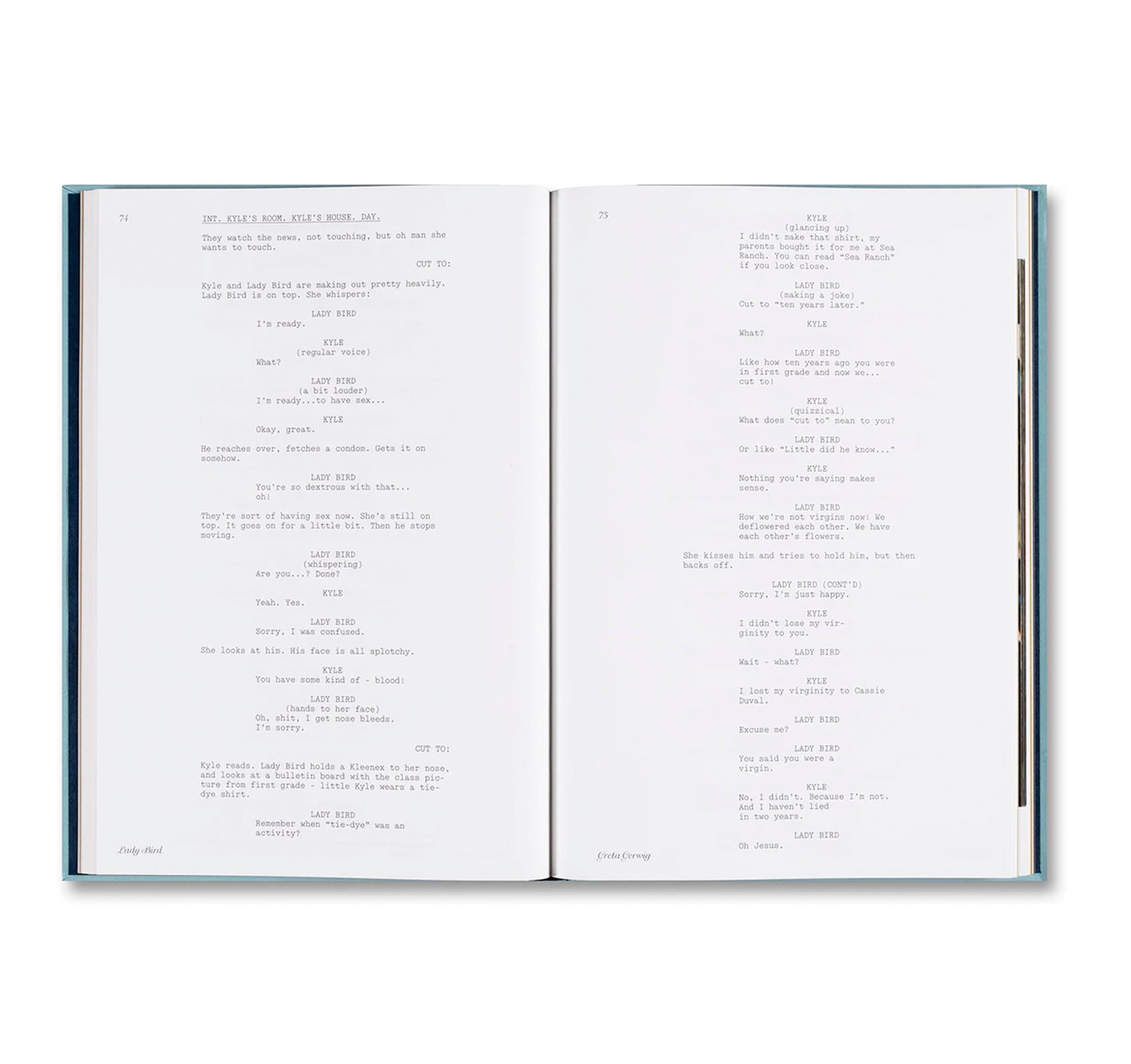 LADY BIRD SCREENPLAY BOOK by Greta Gerwig