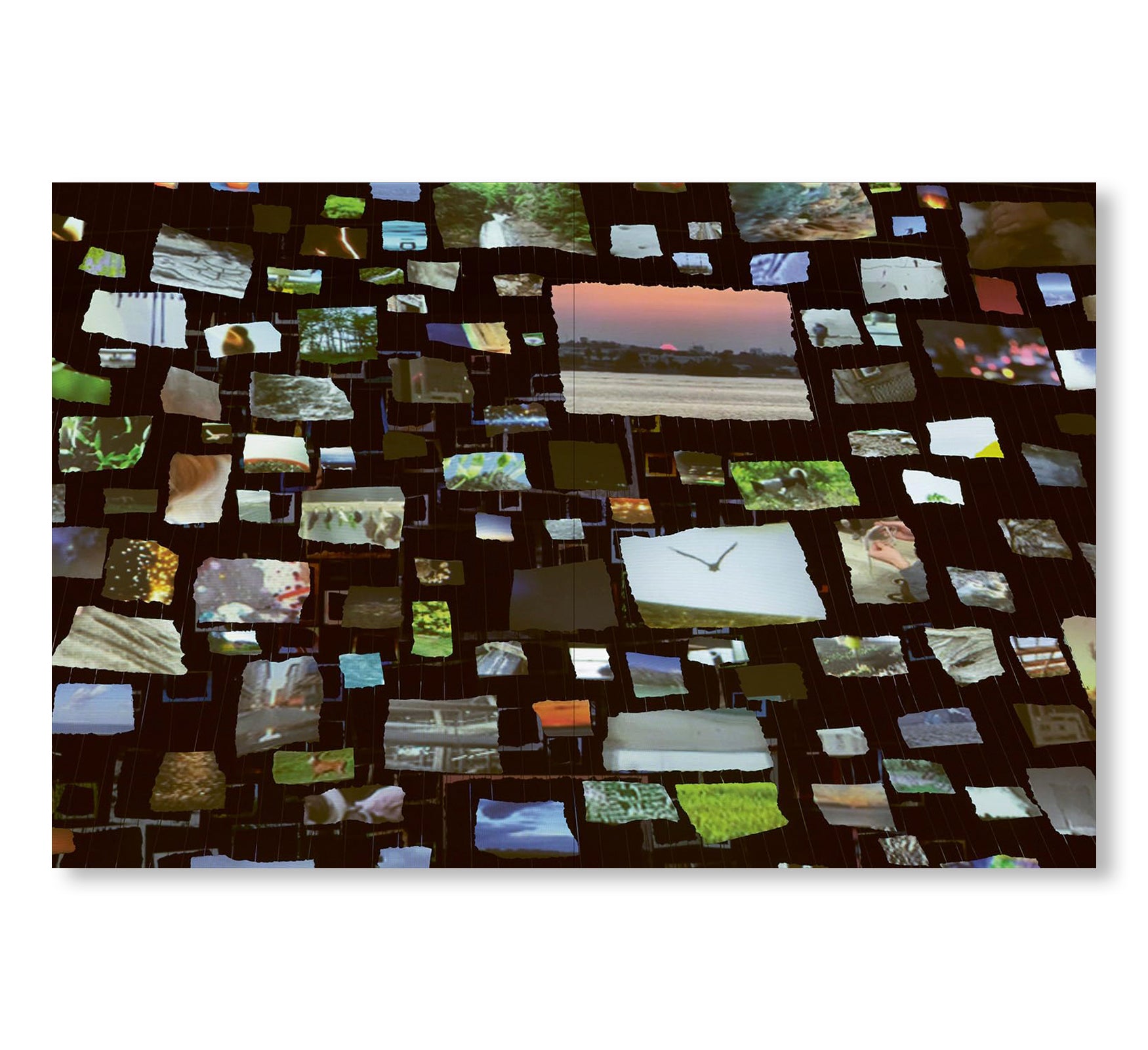 SARAH SZE by Sarah Sze