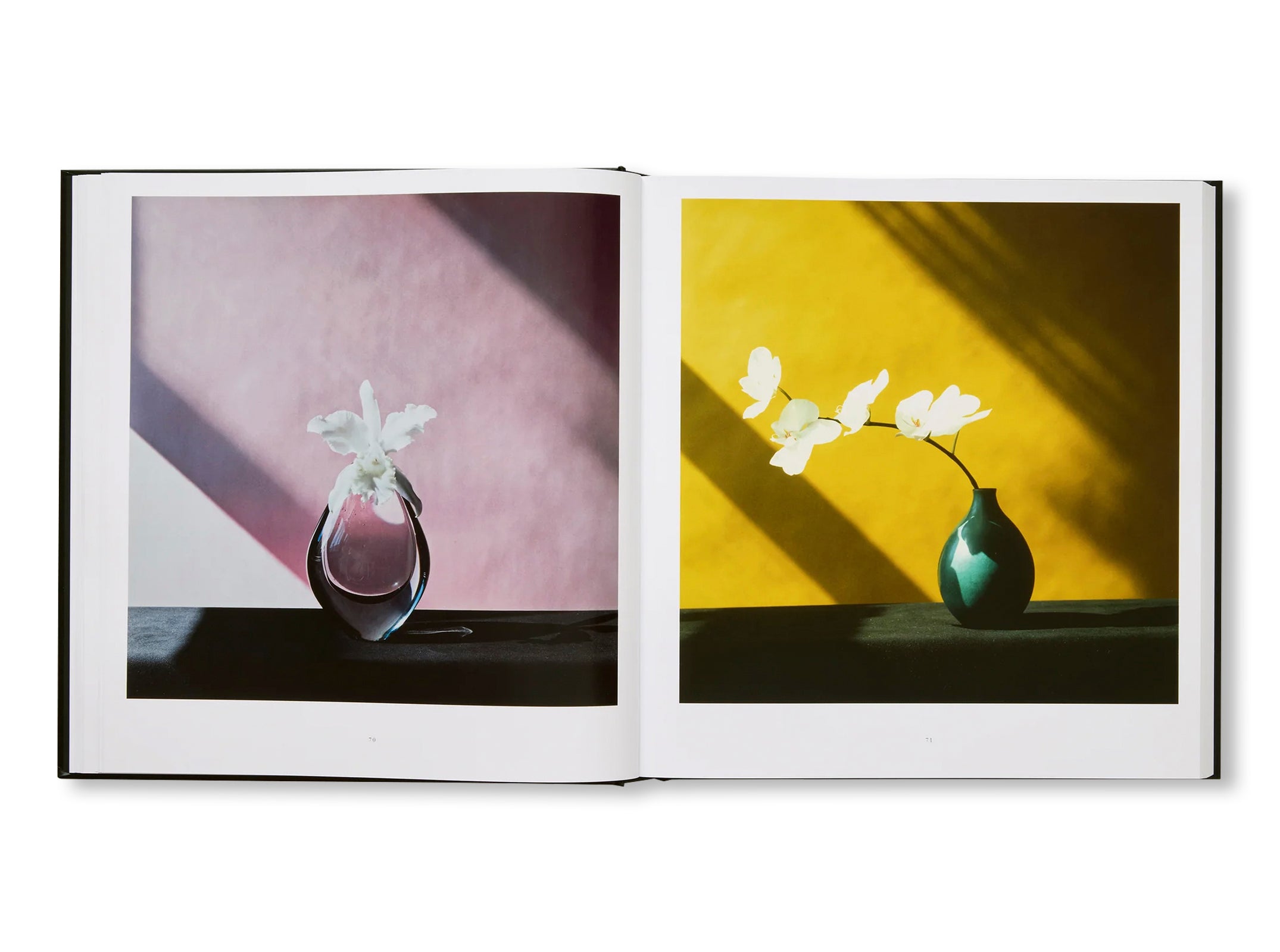 MAPPLETHORPE FLORA: THE COMPLETE FLOWERS by Robert Mapplethorpe [NEW EDITION]