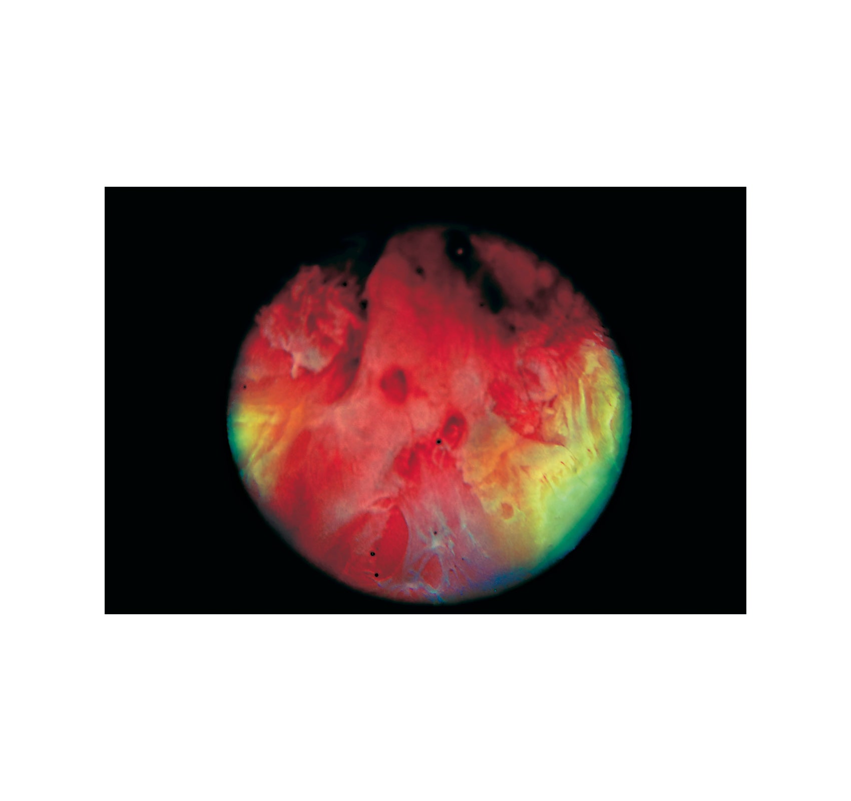 MY BLOODY HAND by Momo Okabe [SIGNED]