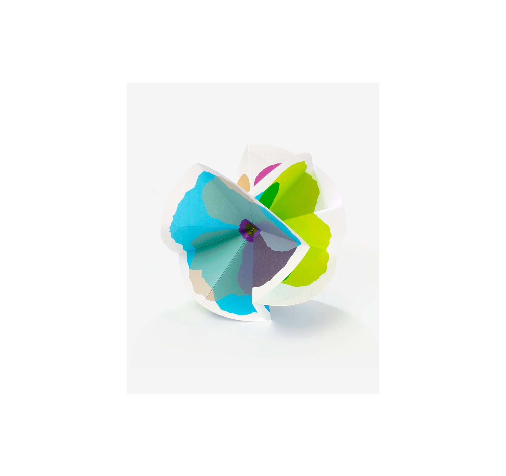 BLOOM by Julie Safirstein [SECOND EDITION]