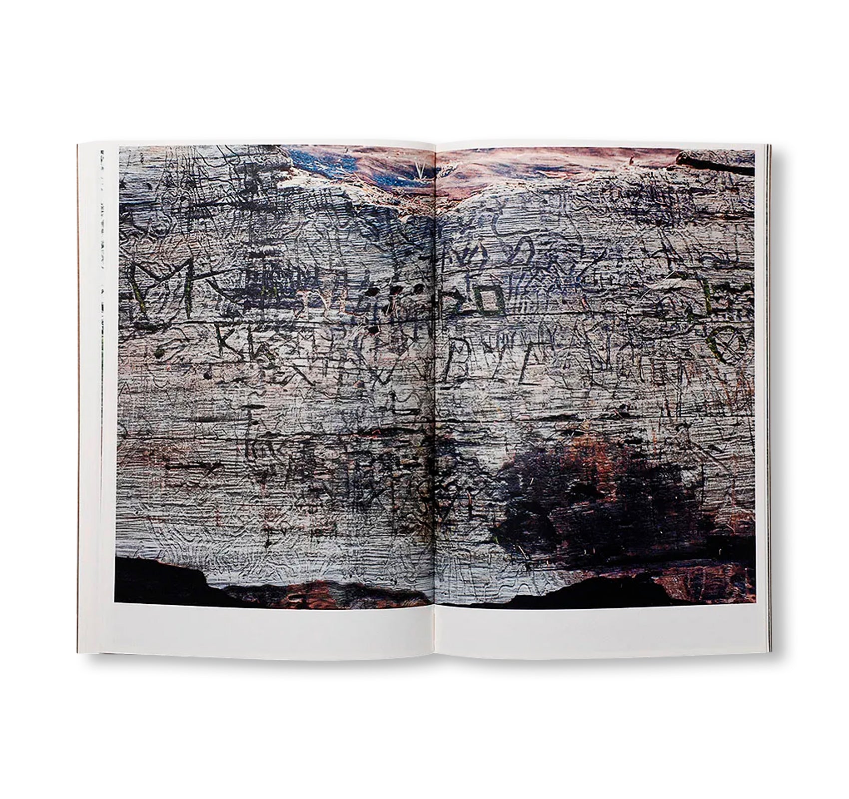 THE DARK WOOD by Danielle Mericle [SIGNED]