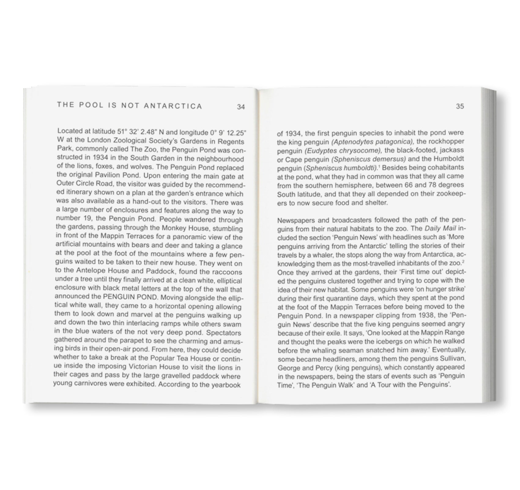 NOT A PENGUIN POOL: ECHOES OF MORE-THAN-HUMAN ENTANGLEMENTS / Bauhaus Paperback 28 by Stiftung Bauhaus Dessau