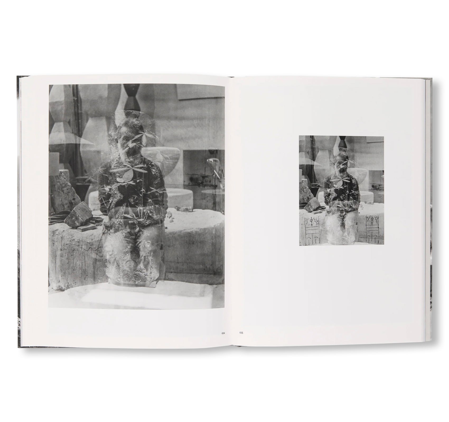 BRANCUSI: THE ARTIST AND HIS STUDIO by Constantin Brancusi