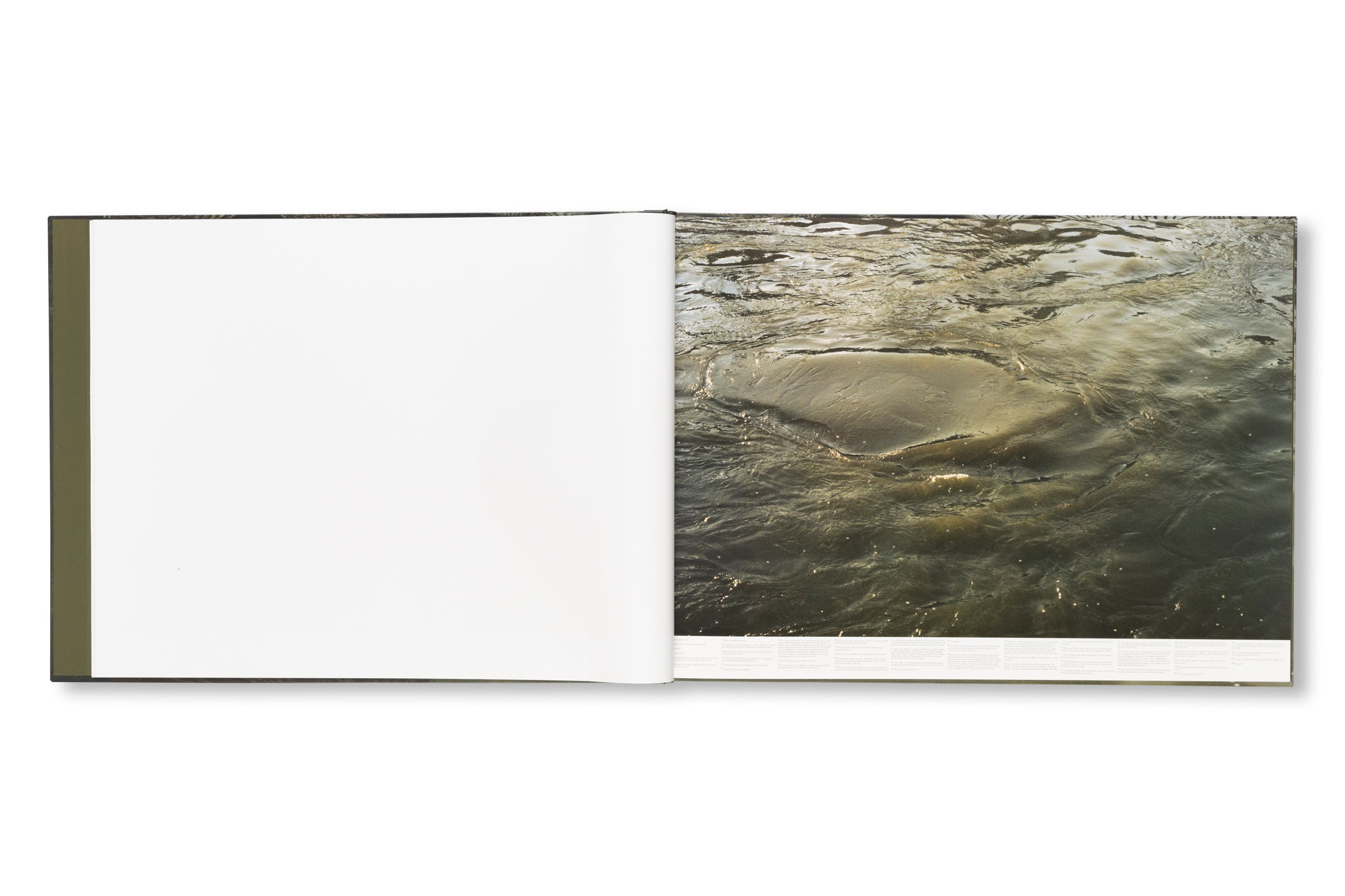 STILL WATER by Roni Horn