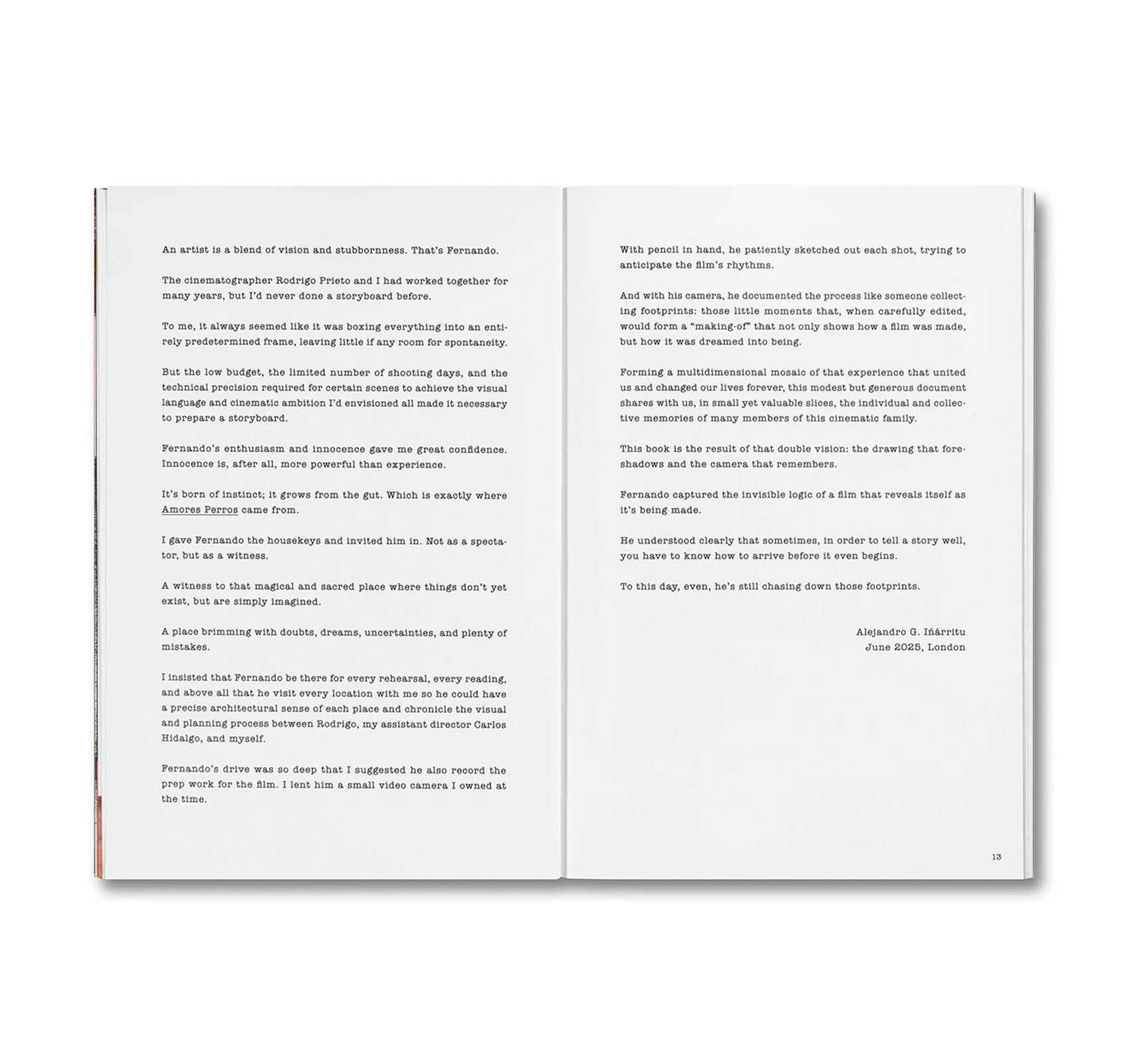 UNLEASHING AMORES PERROS by Fernando Llanos [ENGLISH EDITION]