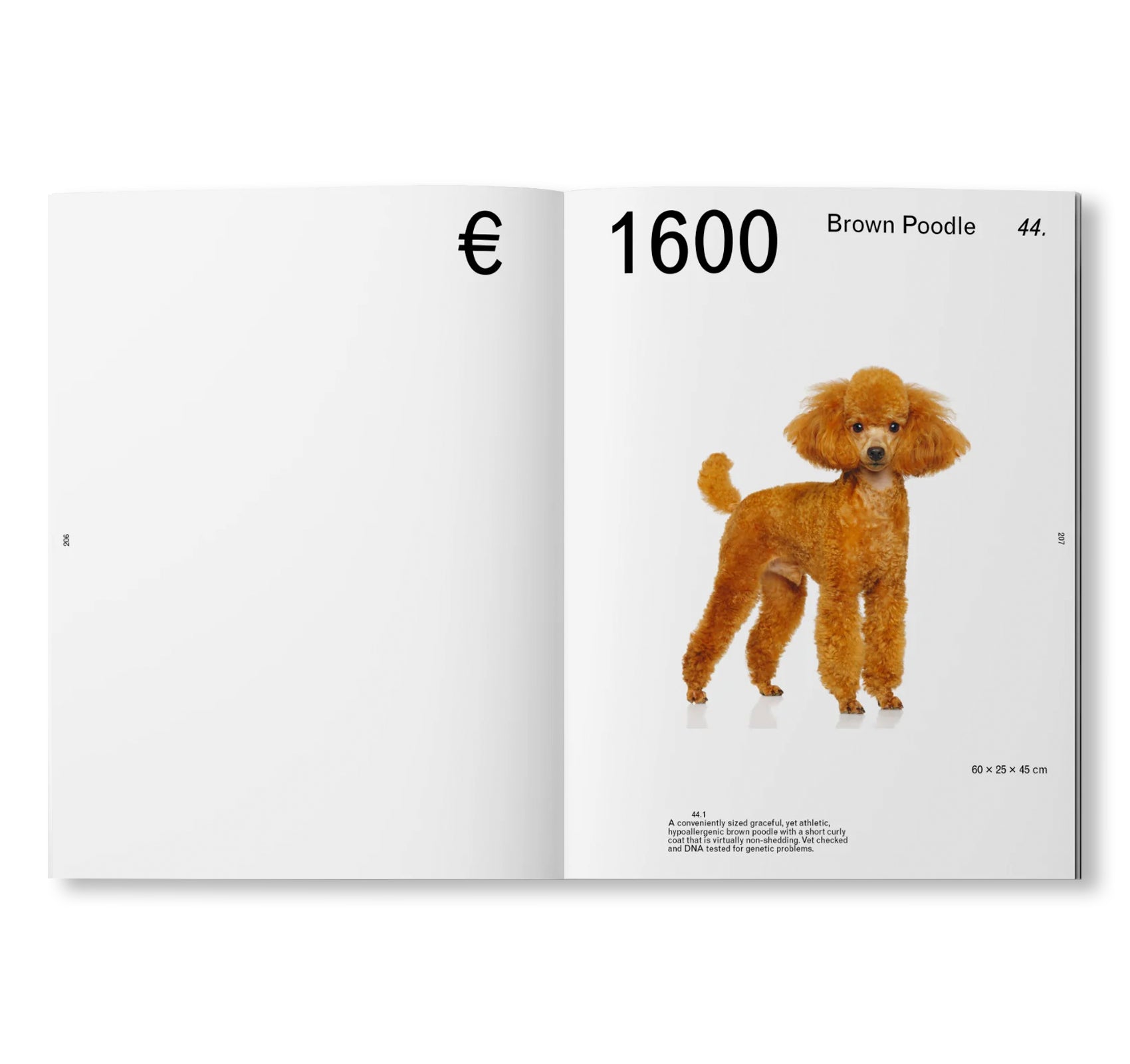 OBJECT-ORIENTED IDENTITY: CULTURAL BELONGINGS FROM OUR RECENT PAST by Zsofia Kollar [SECOND REVISED EDITION]