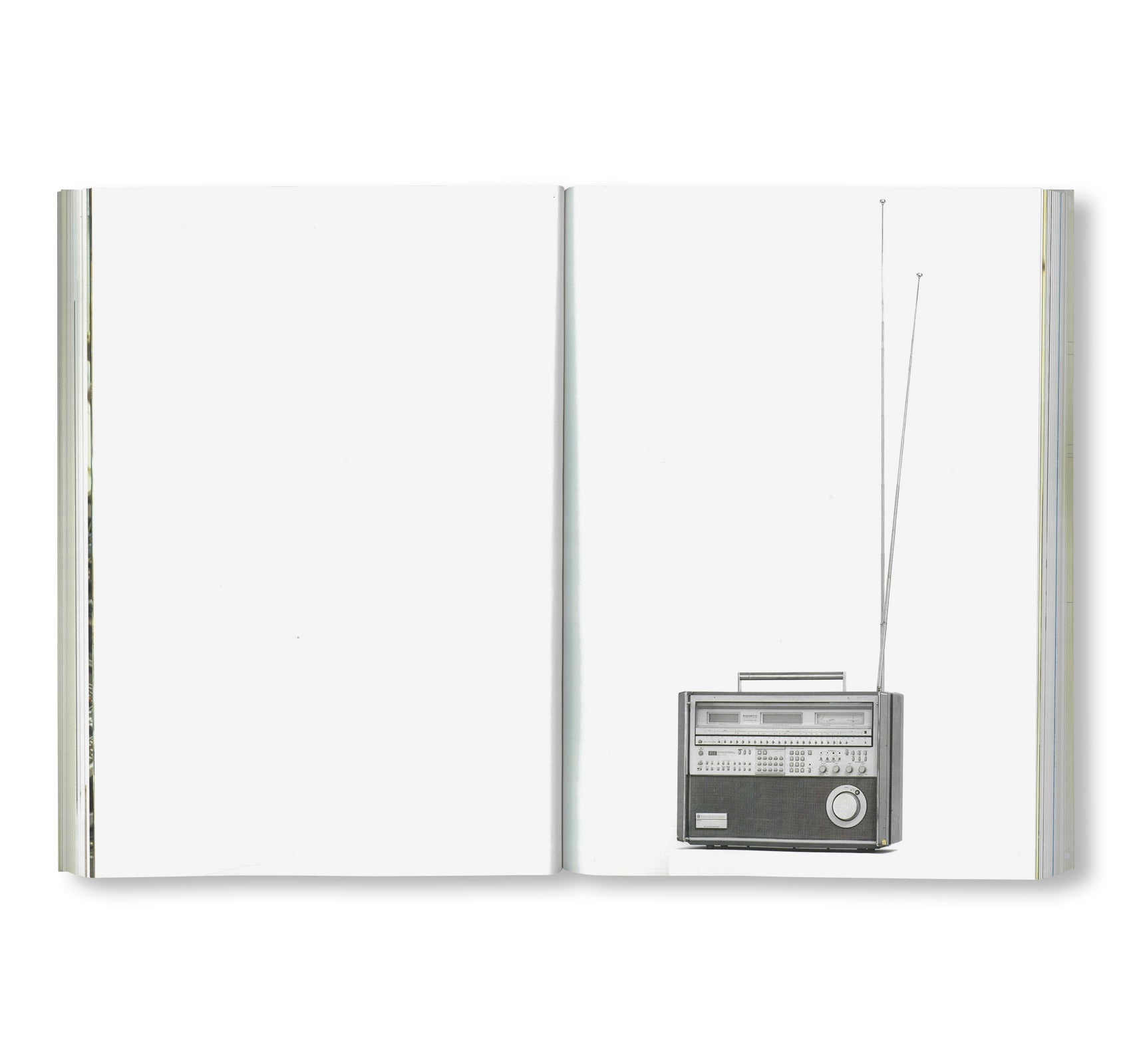 EARLY WORKS by Isa Genzken