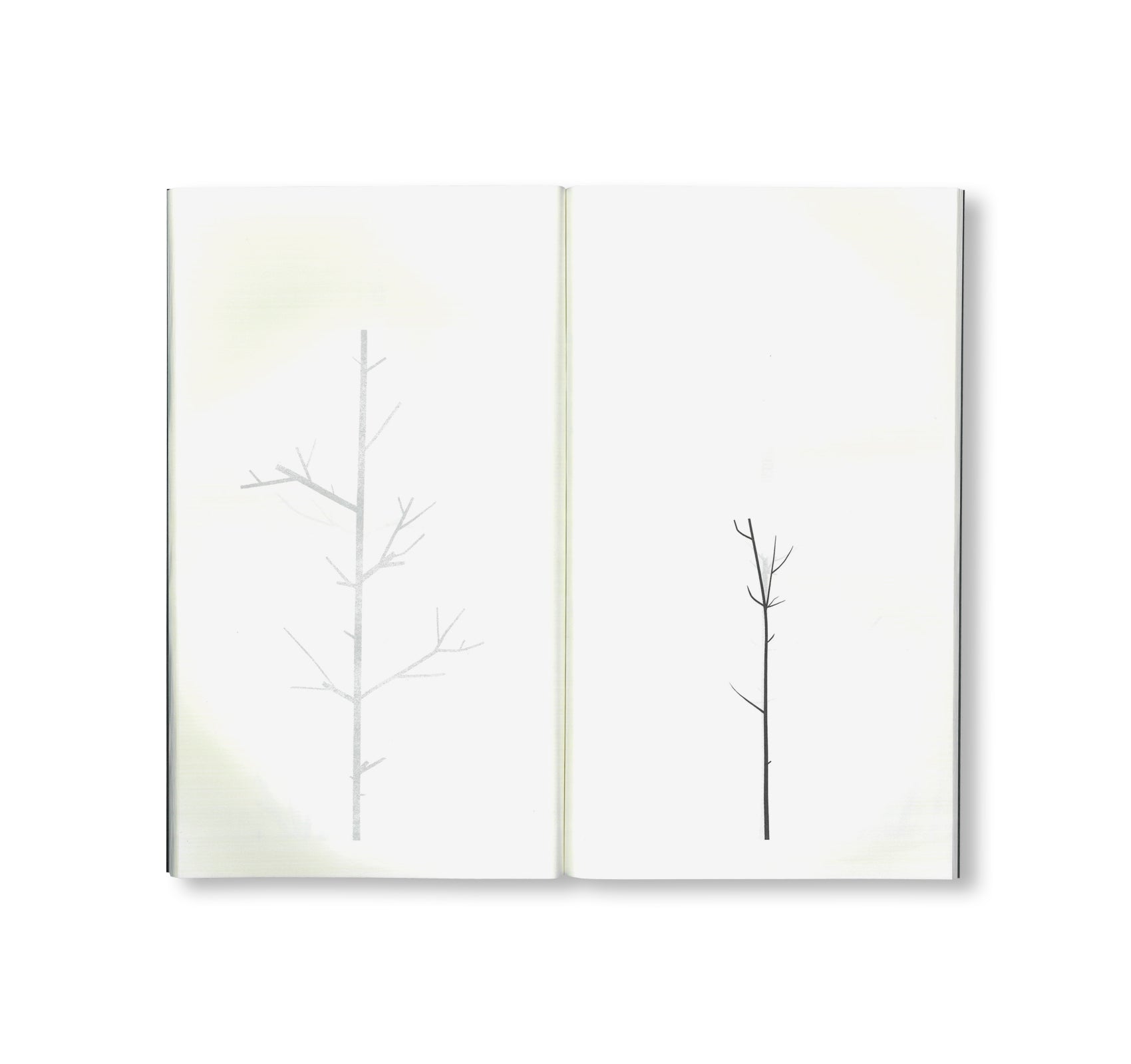 WINTER DRAWINGS by Peter Liversidge