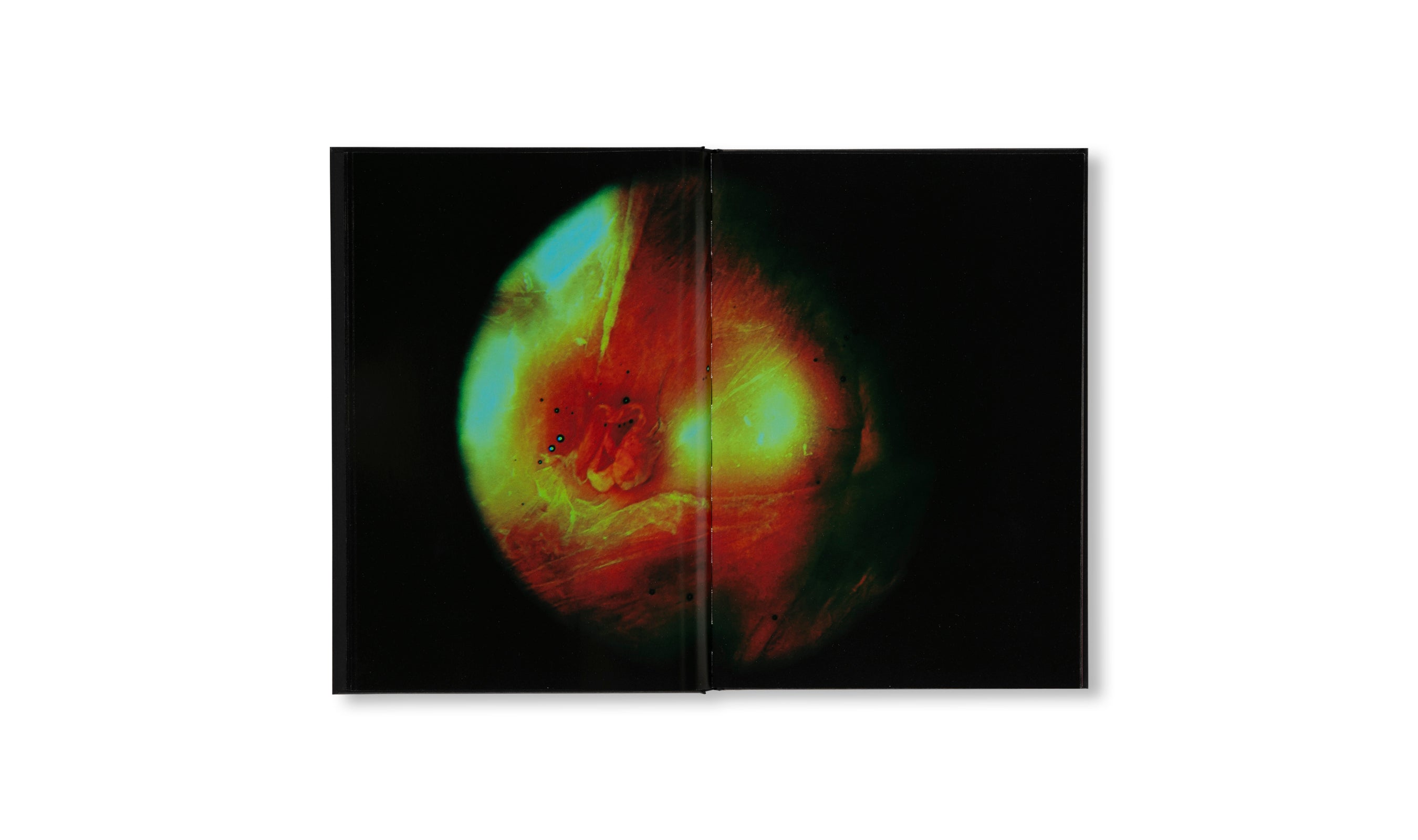 MY BLOODY HAND by Momo Okabe