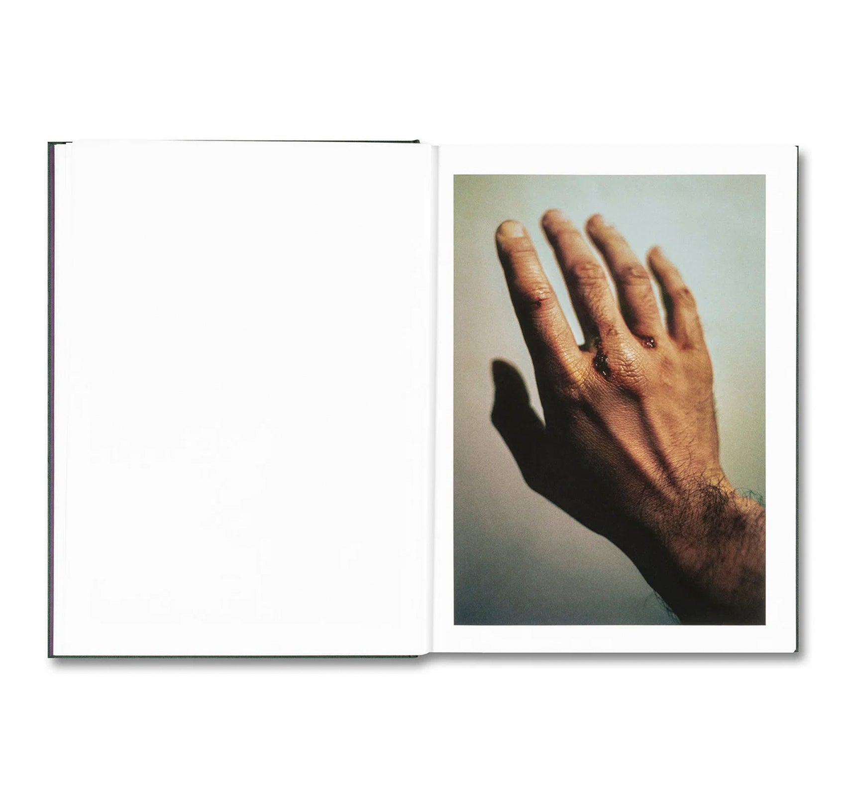 HOW ABOUT NEVER by Jerry Hsu [SIGNED]