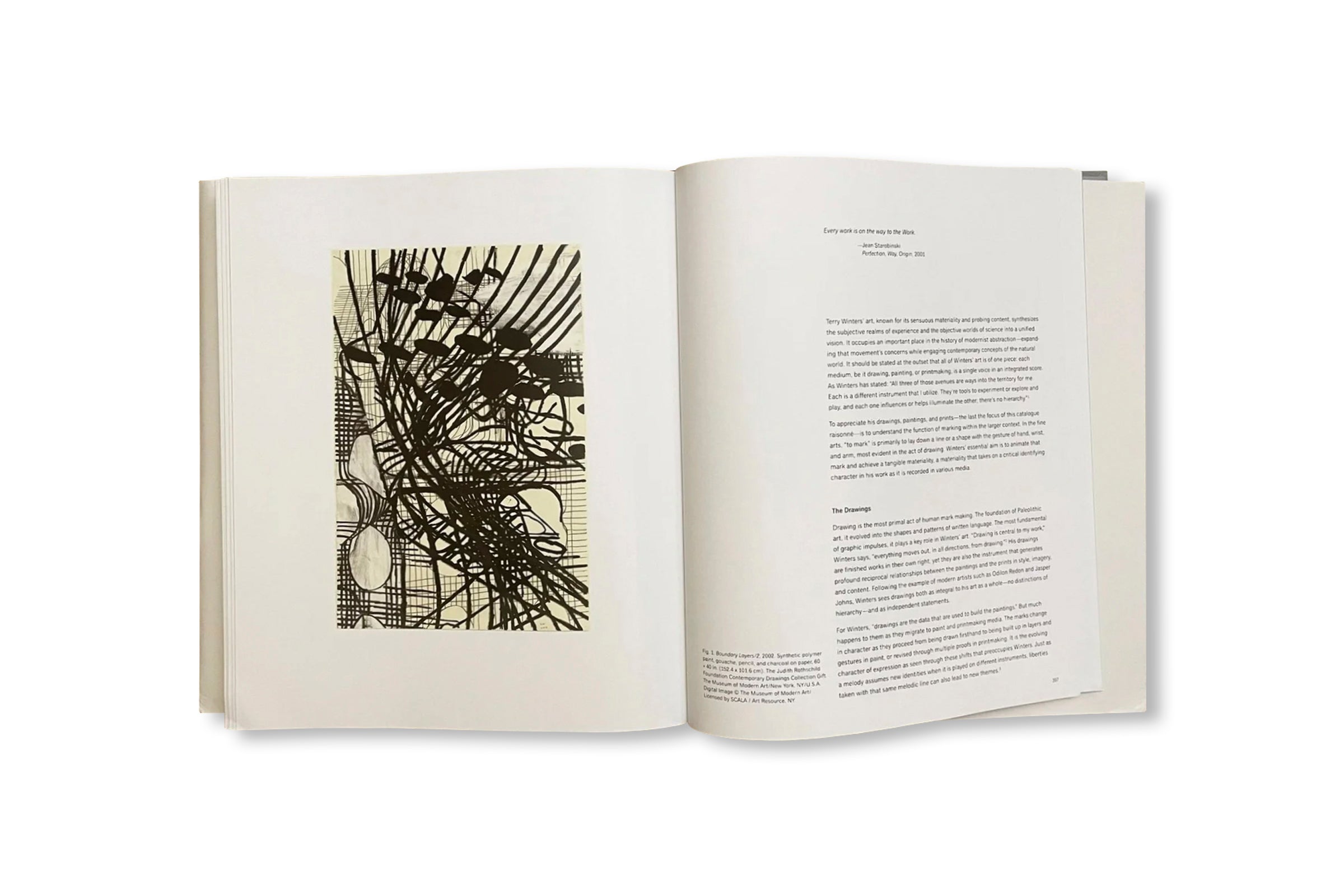 TERRY WINTERS: THE PRINTED WORK, A CATALOGUE RAISONNÉ by Terry Winters