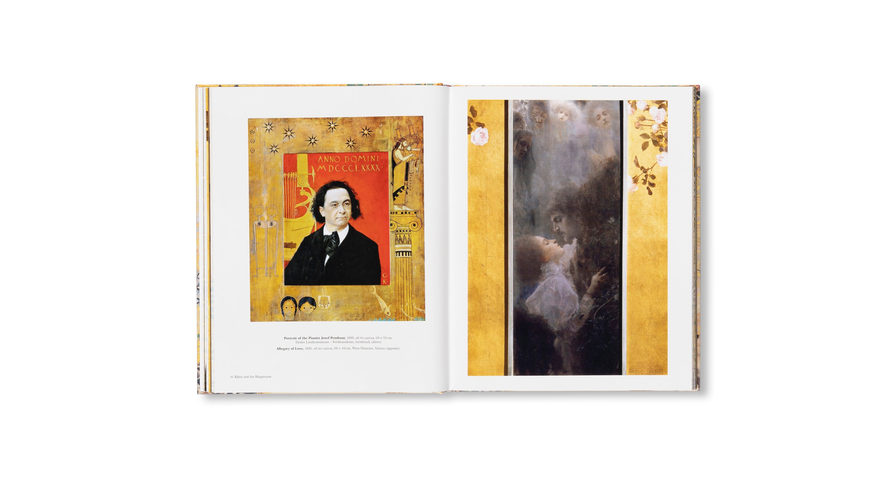 KLIMT - THE BIGGER PICTURE by Philippe Thiébaut