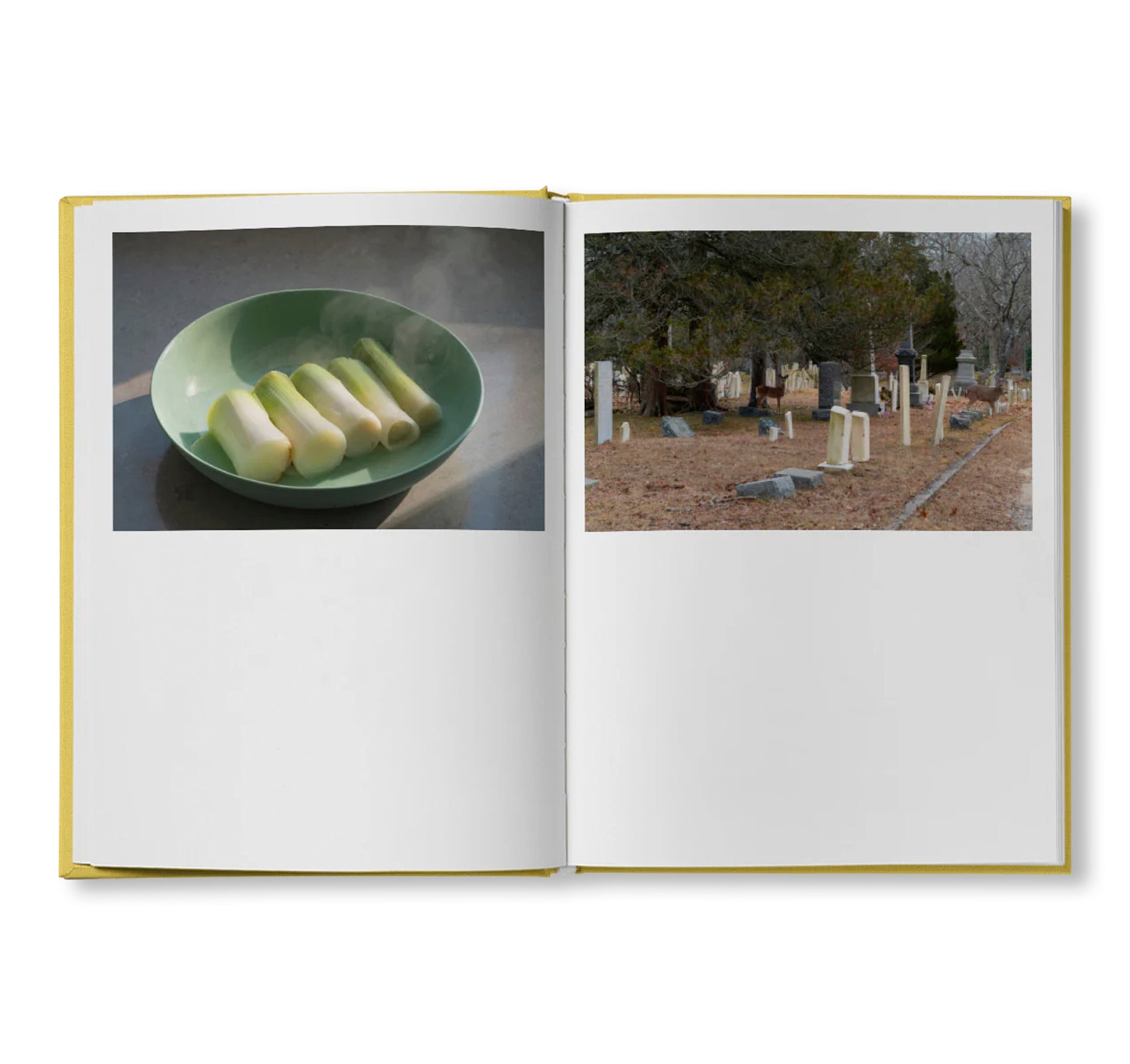 IRREVERSIBLE ORDER by Lisa Donneson