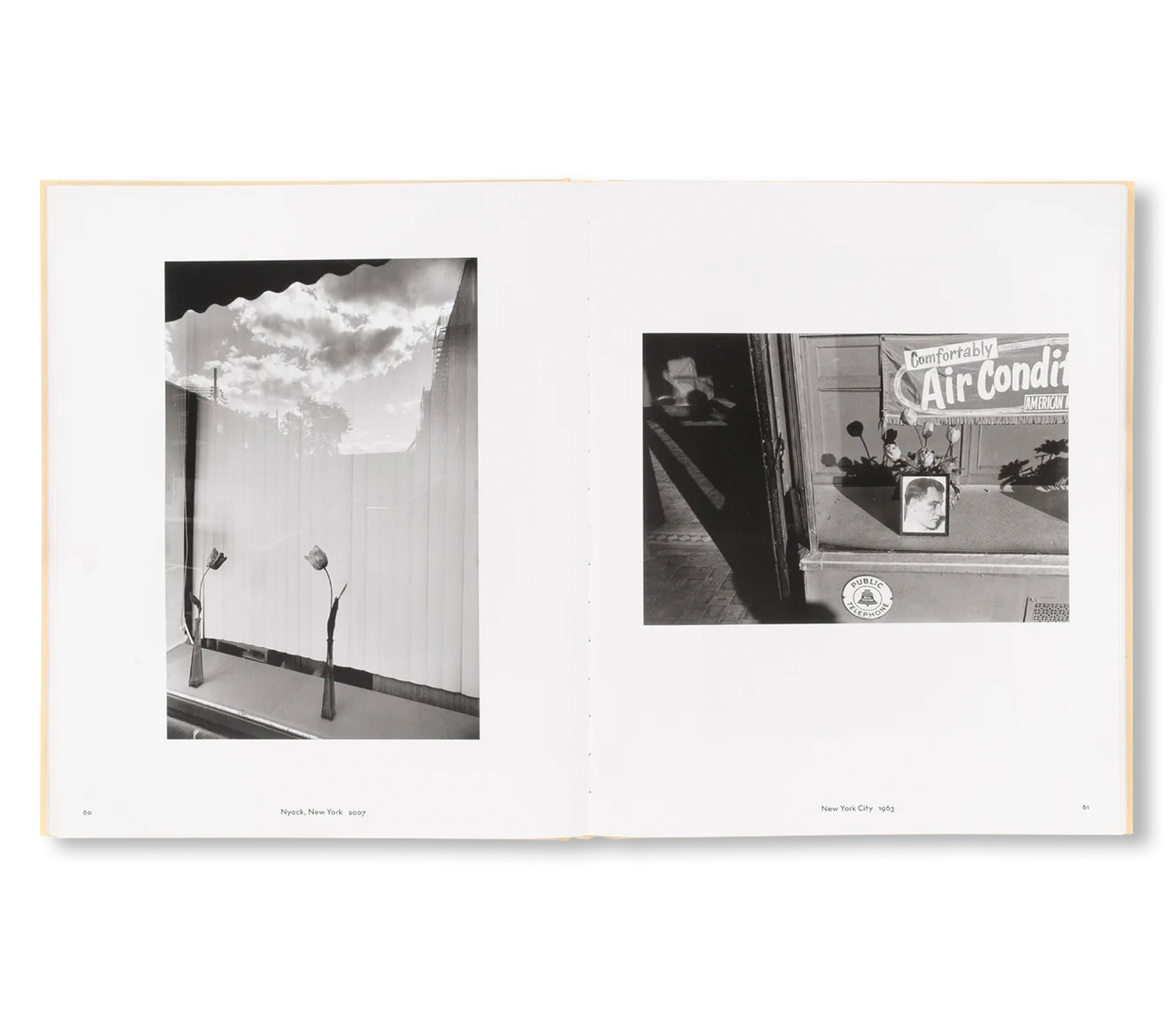 LIFE STILL by Lee Friedlander