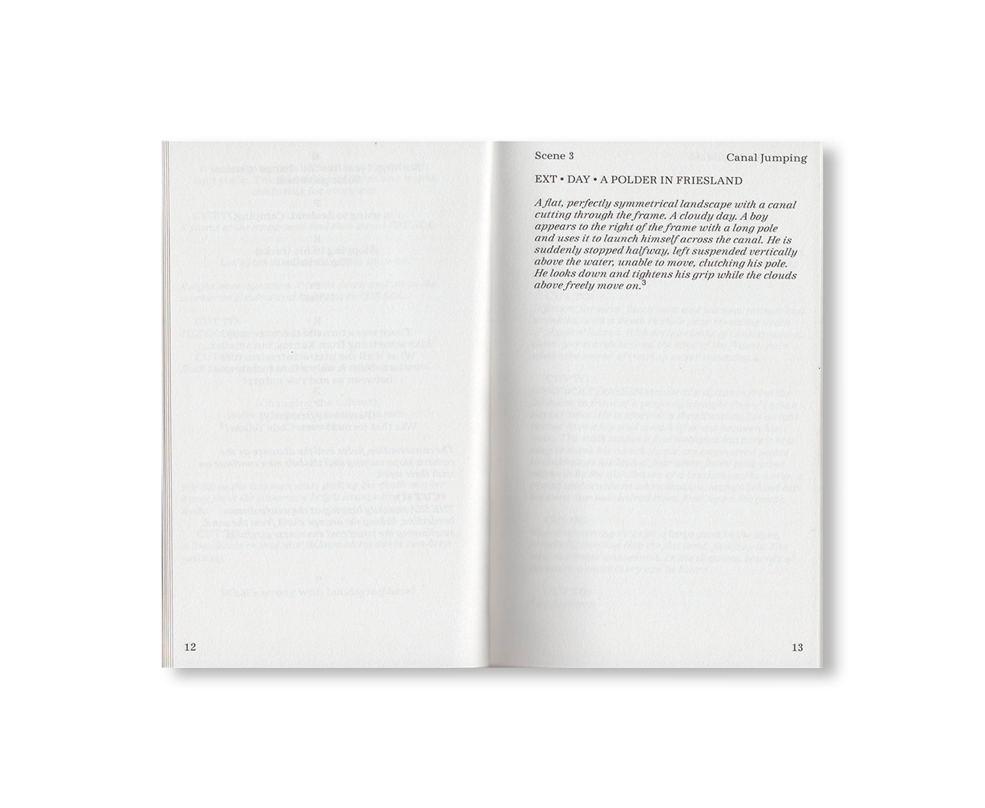 SCENES FROM THE POLDER WESTERN by Pilar Mata Dupont, Erika Roux