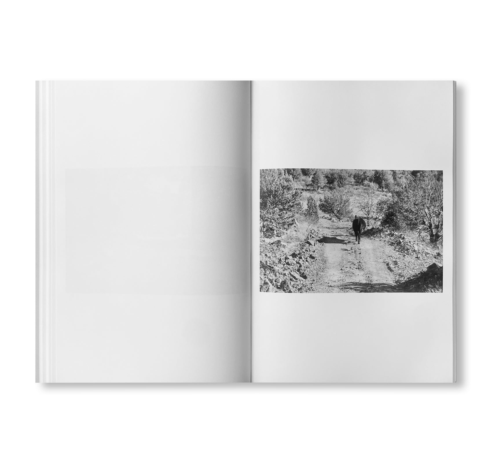 ROAD by Christopher Wool [SIGNED]