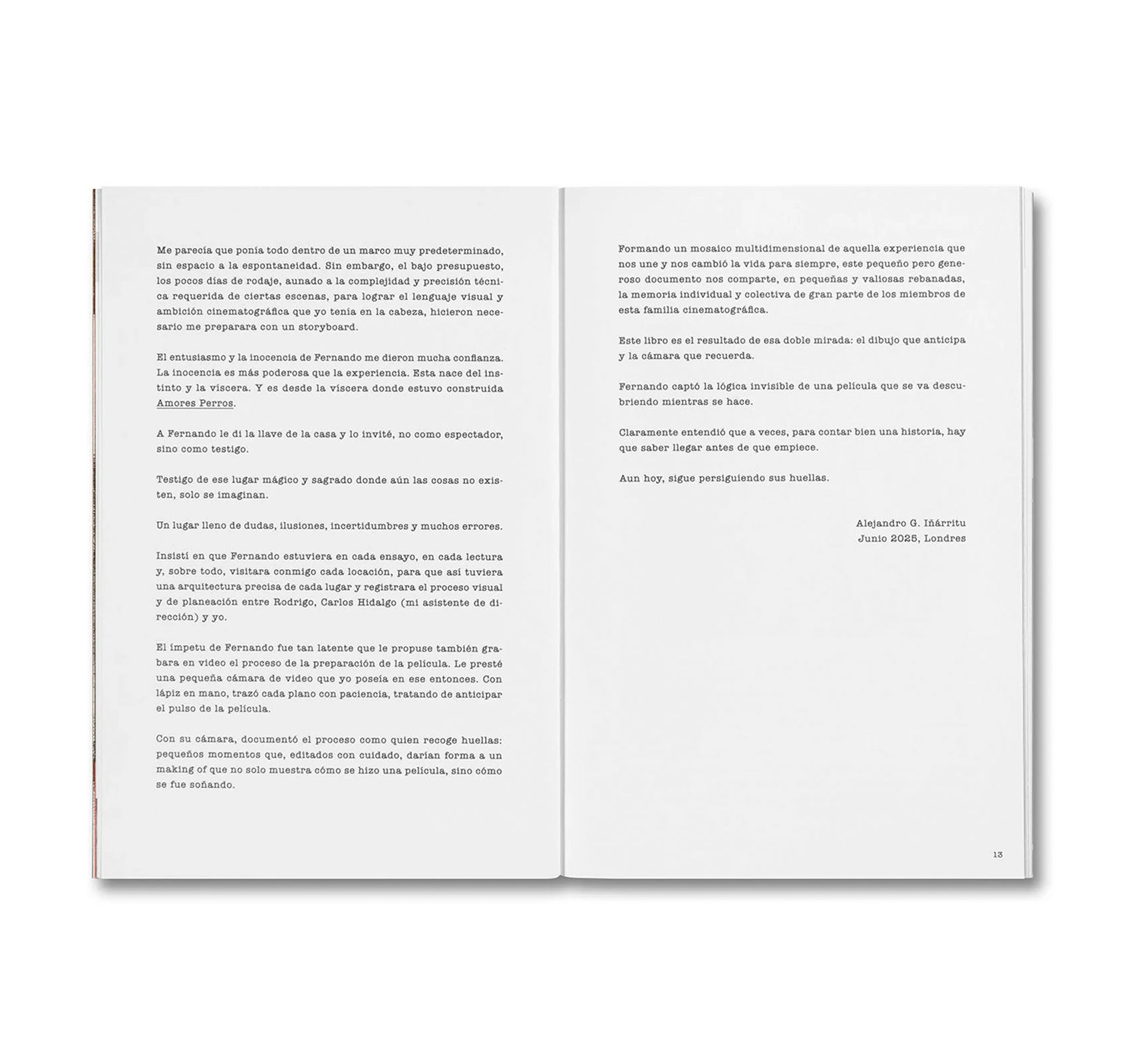 DESATAR AMORES PERROS by Fernando Llanos [SPANISH EDITION]
